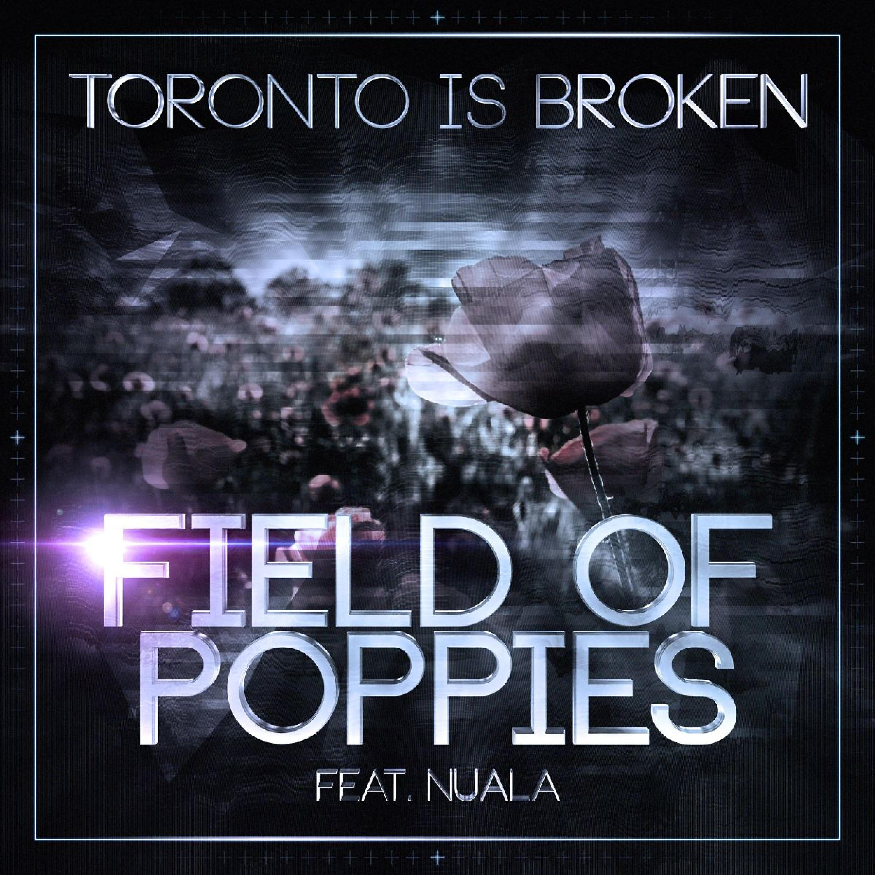 Постер альбома Field of Poppies: Section Nine Sampler, Vol. 3