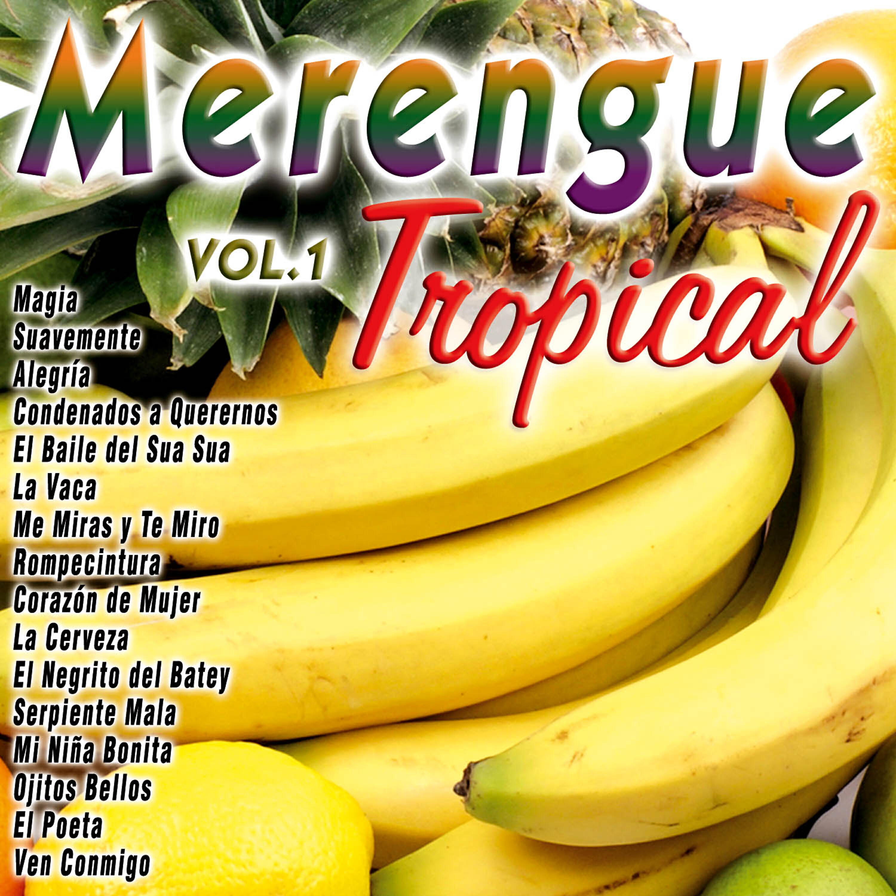 Релиз Merengue Tropical, Vol. 1