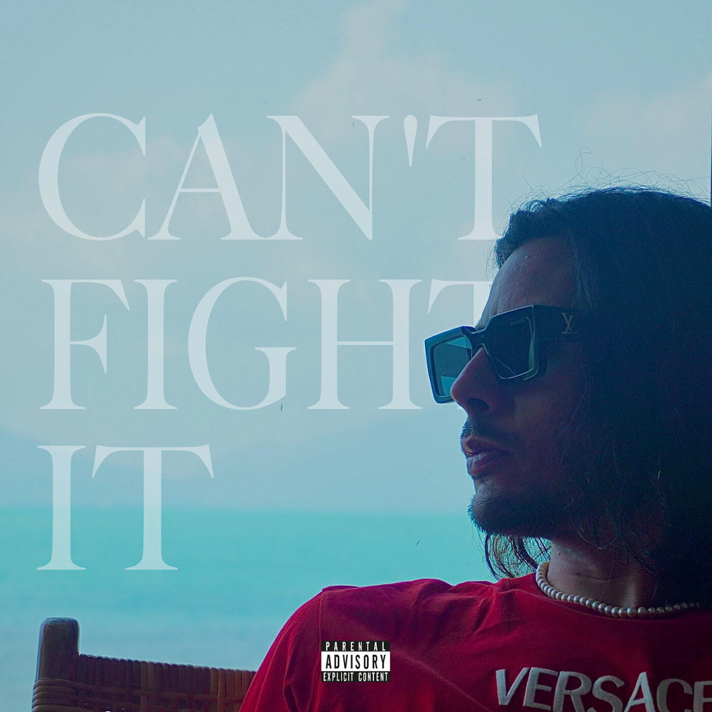 Постер альбома Can't Fight It