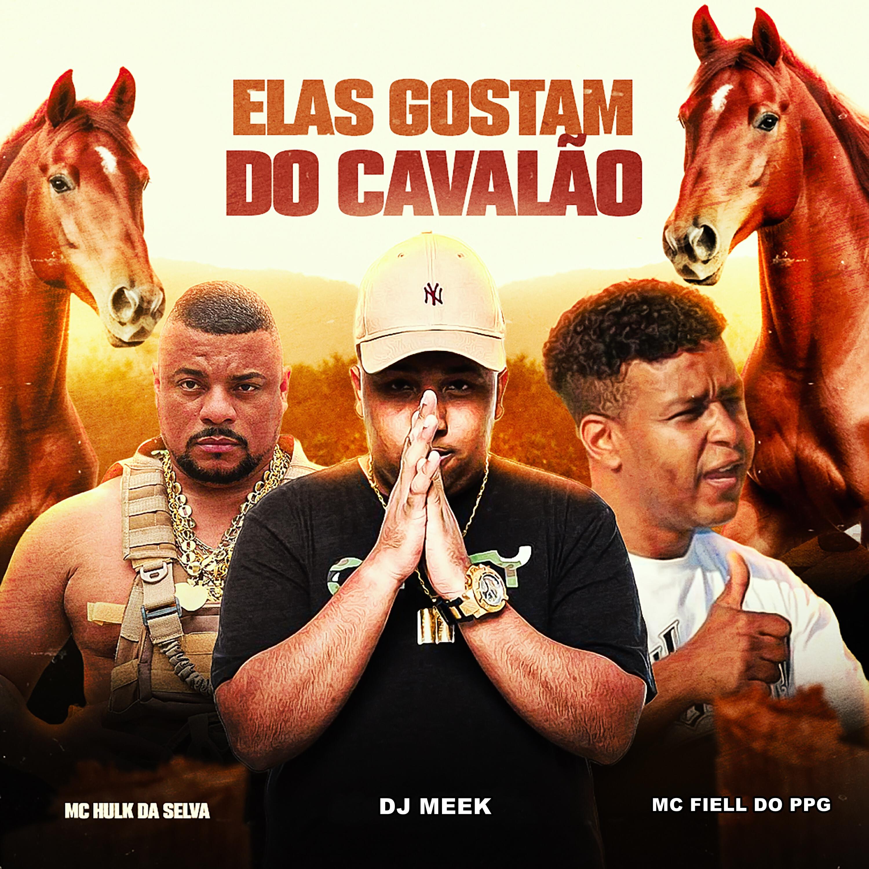Релиз Elas Gostam do Cavalão