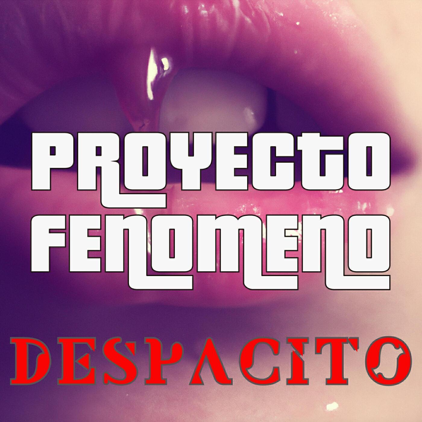 Proyecto Fenomeno