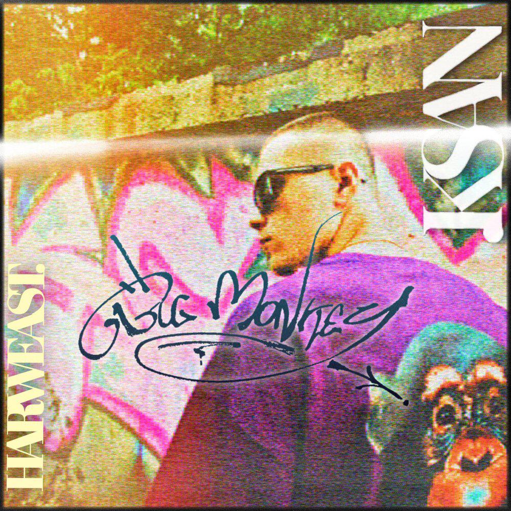 Релиз BIG MONKEY