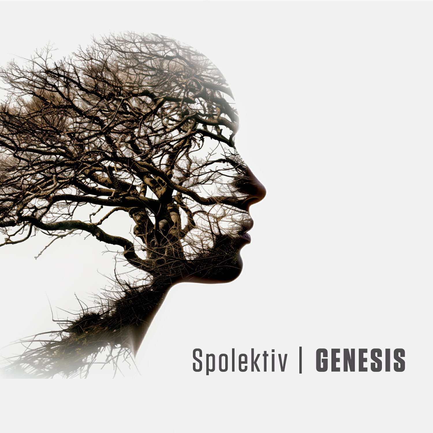 Релиз GENESIS