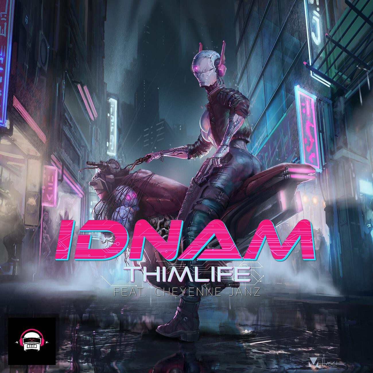 Релиз idnam