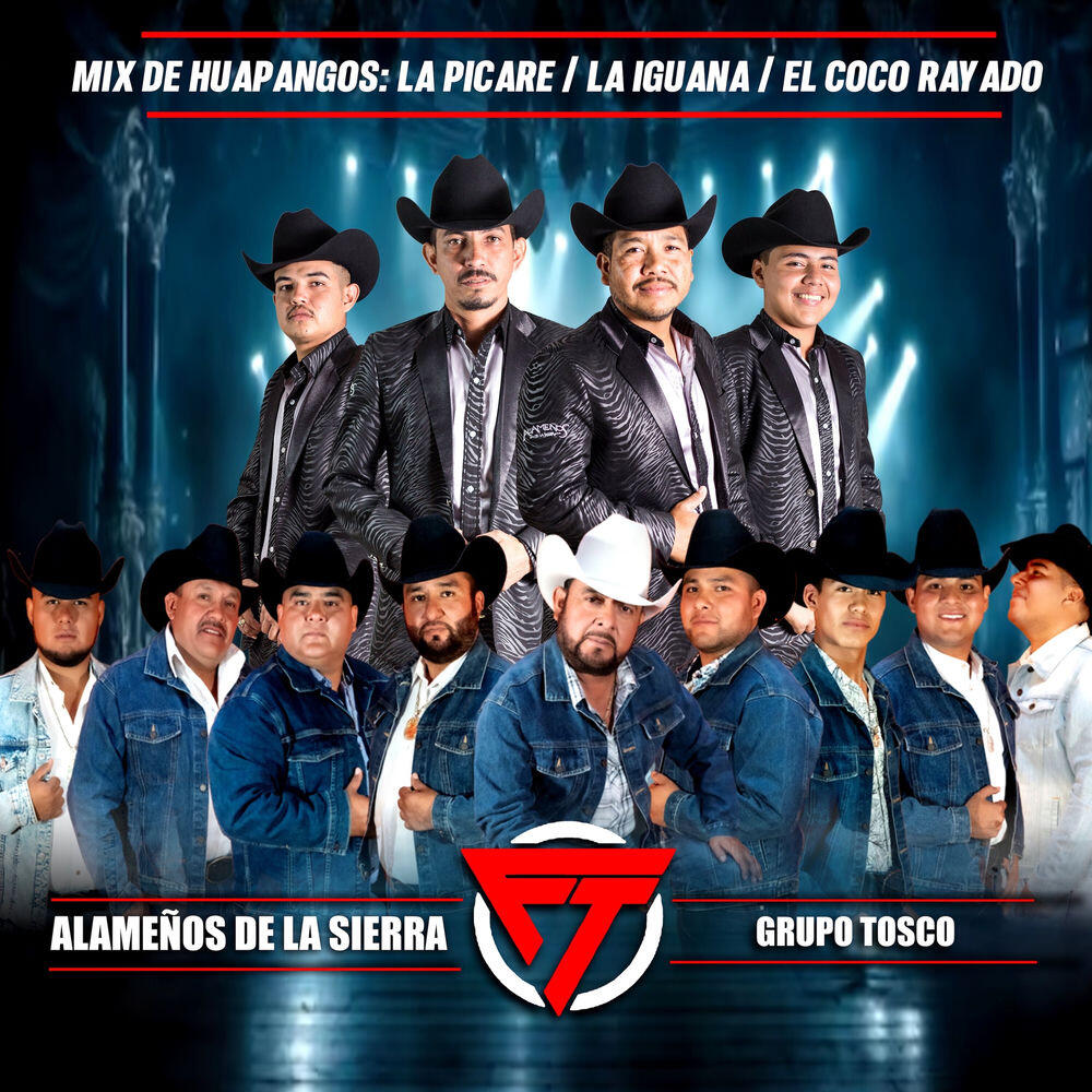 Трек Mix de huapangos : La Picare / La Iguana / El Coco Rayado