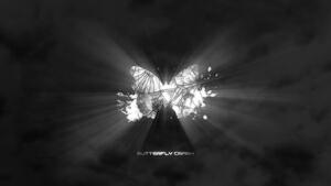 Butterfly Crash
