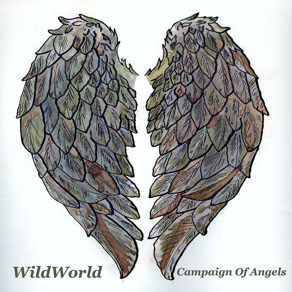 Релиз Campaign of Angels