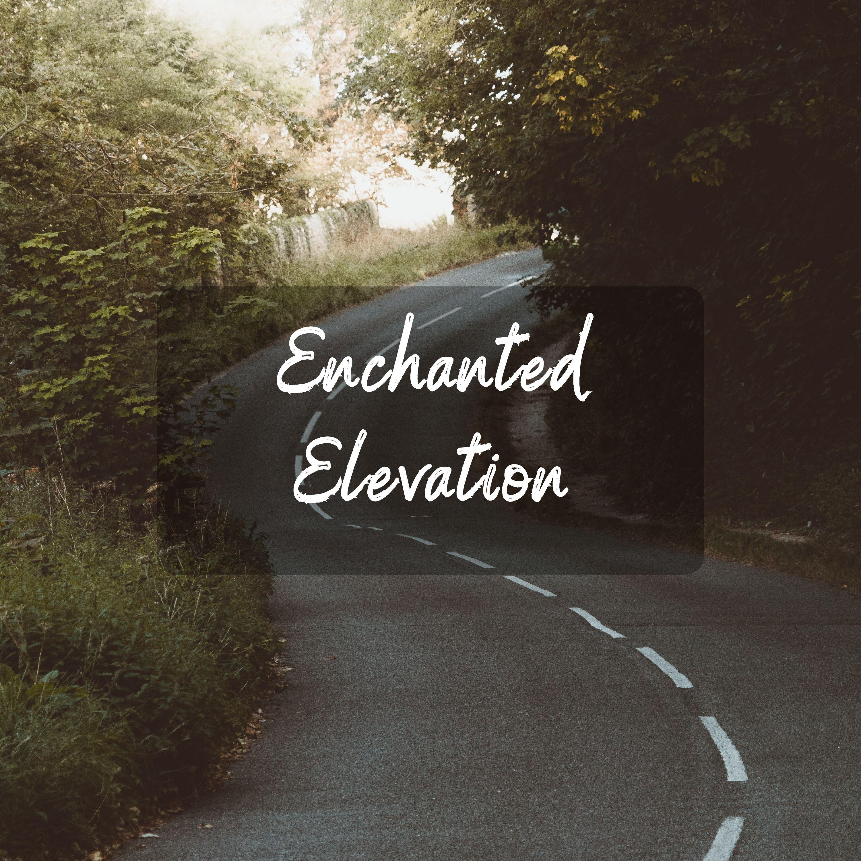 Релиз Enchanted Elevation