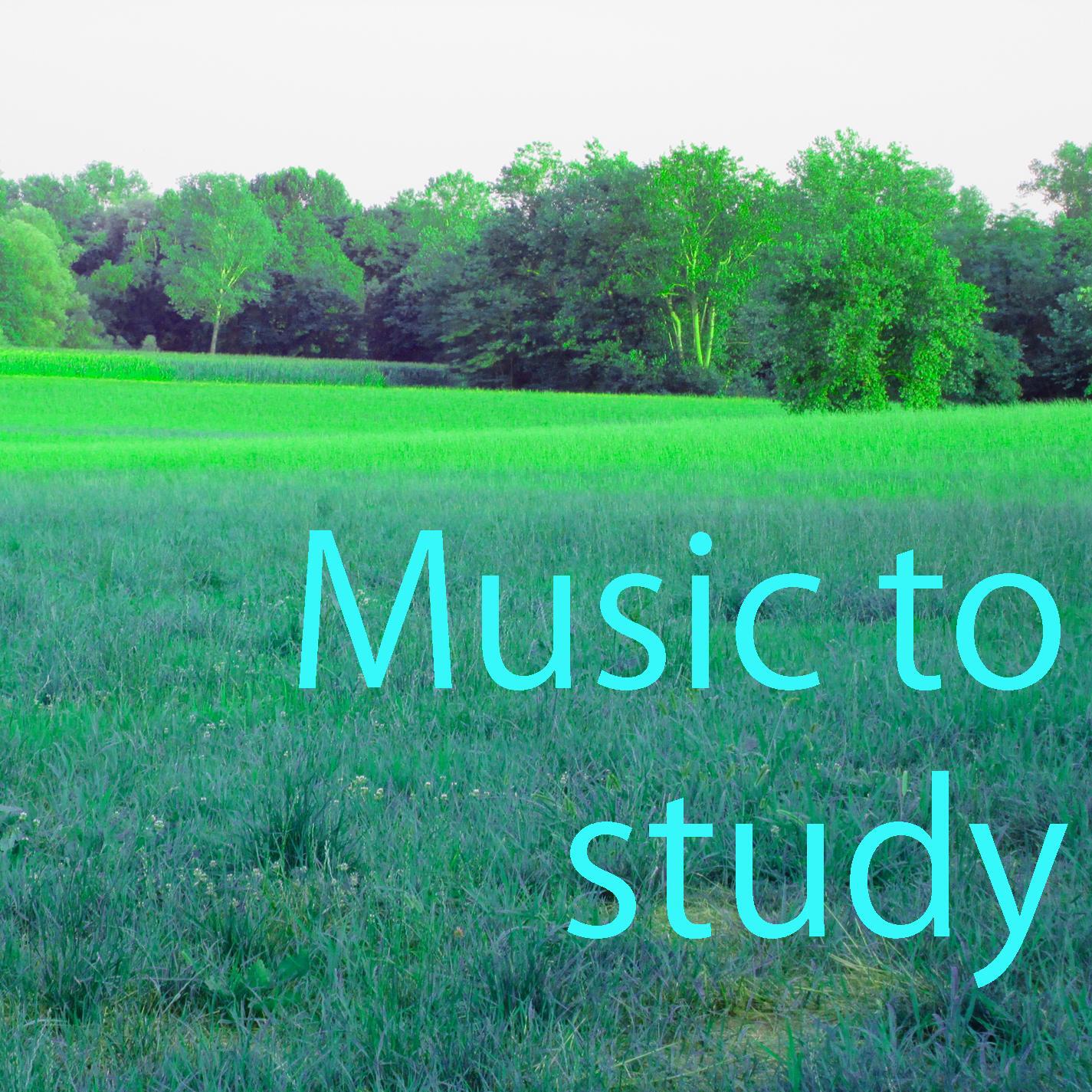 Релиз Music to Study Vol. 3
