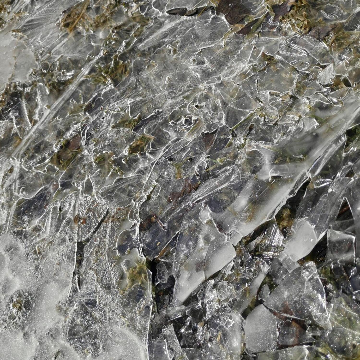 Релиз Довод