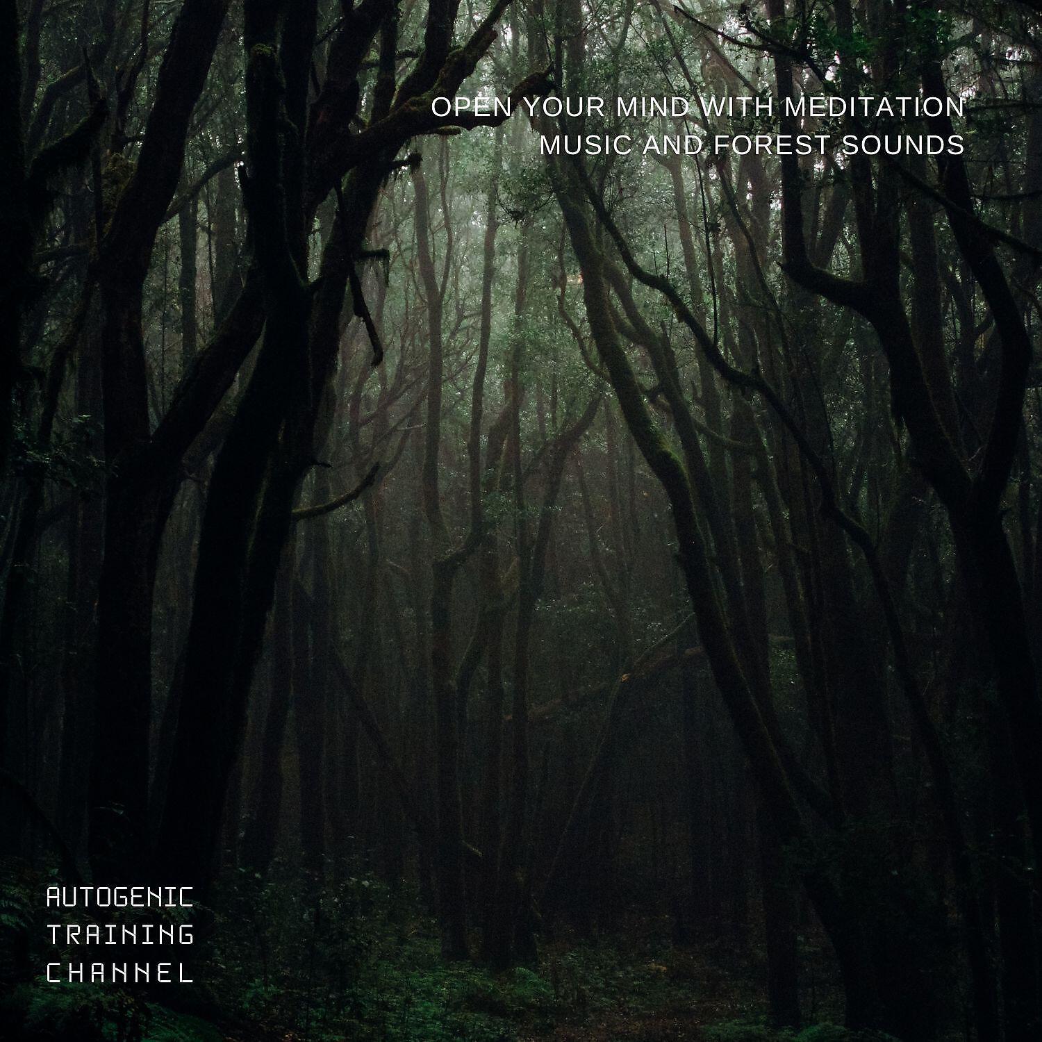 Постер альбома Open Your Mind with Meditation Music and Forest Sounds