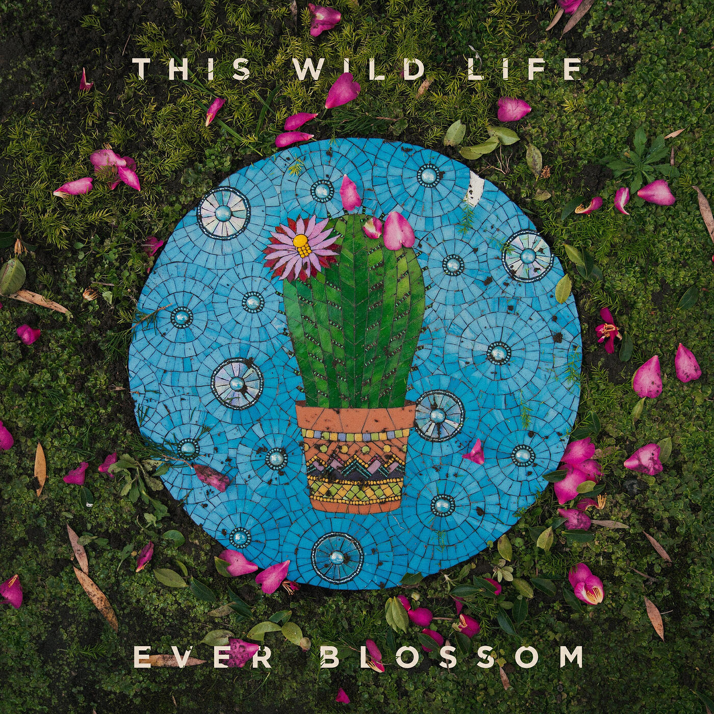 Релиз Ever Blossom