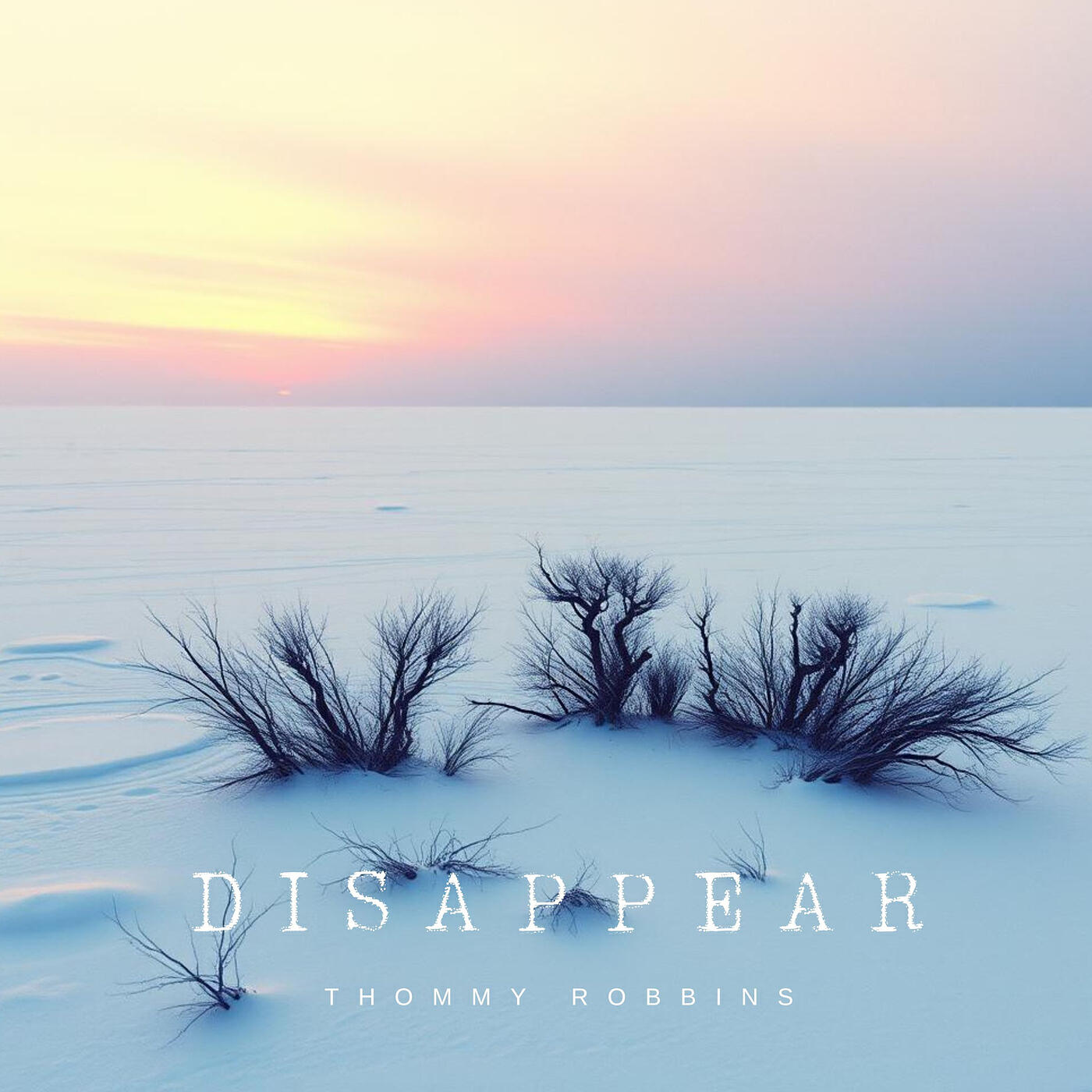 Релиз Disappear