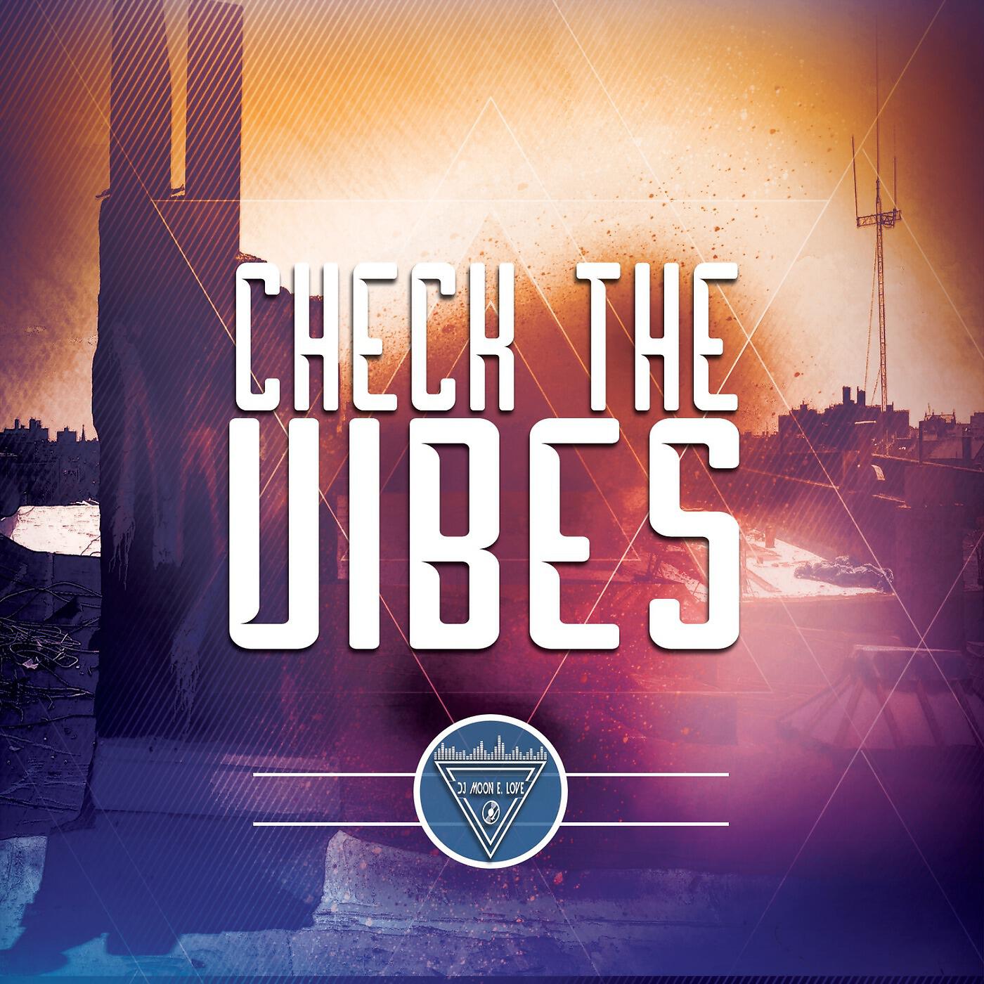Постер альбома Check the Vibes