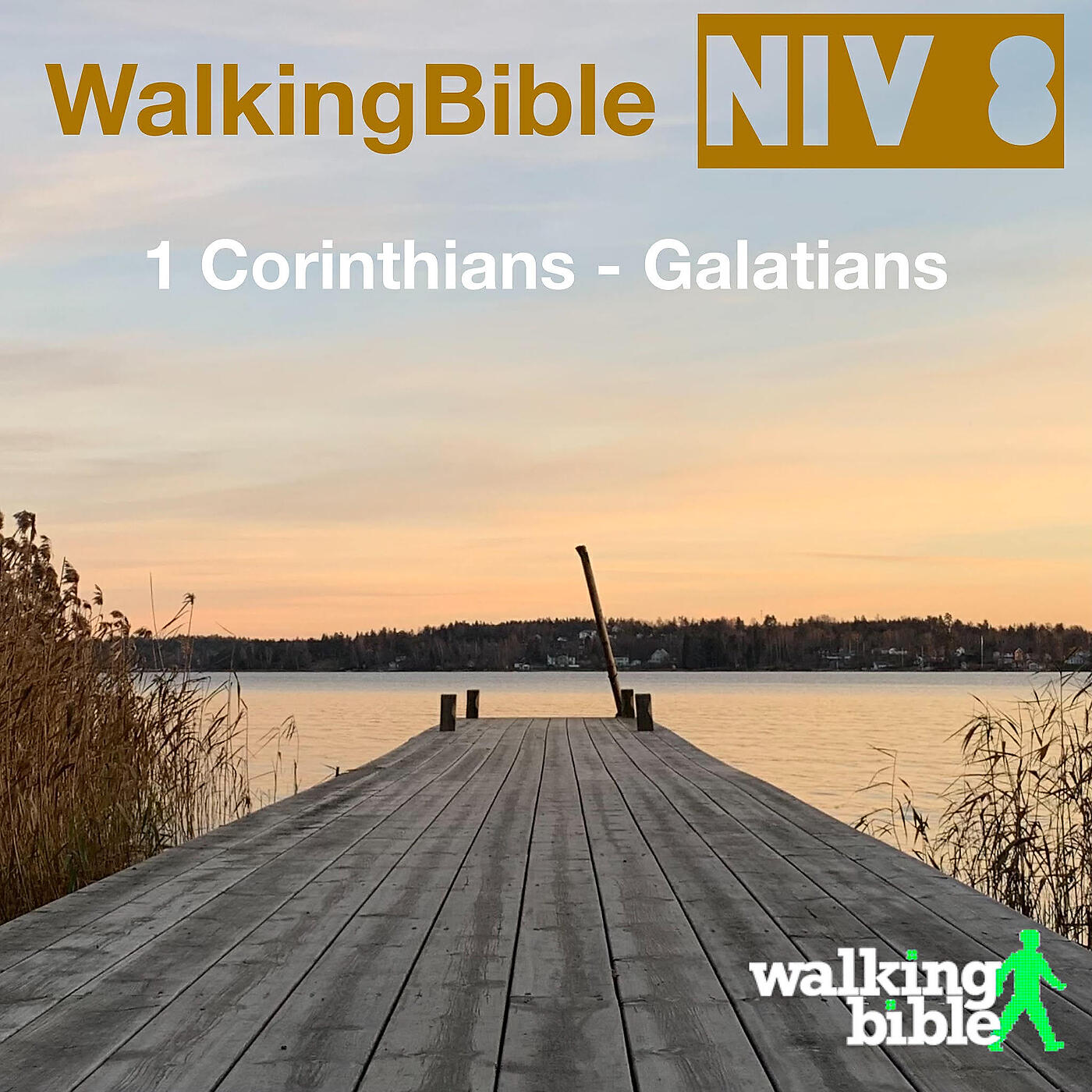 Релиз WalkingBible Niv 8 1 Corinthians - Galatians