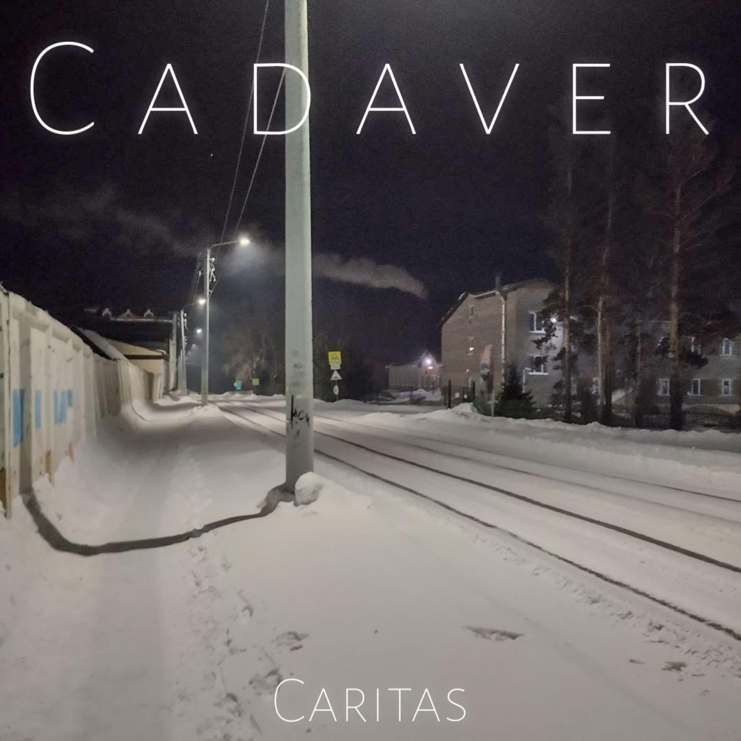 Релиз Cadaver