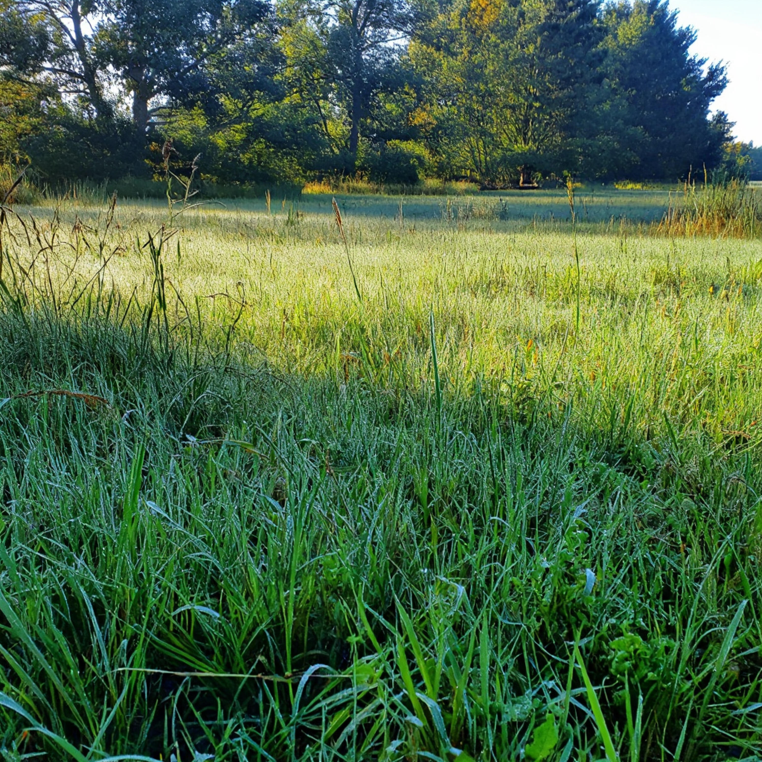 Релиз Summer