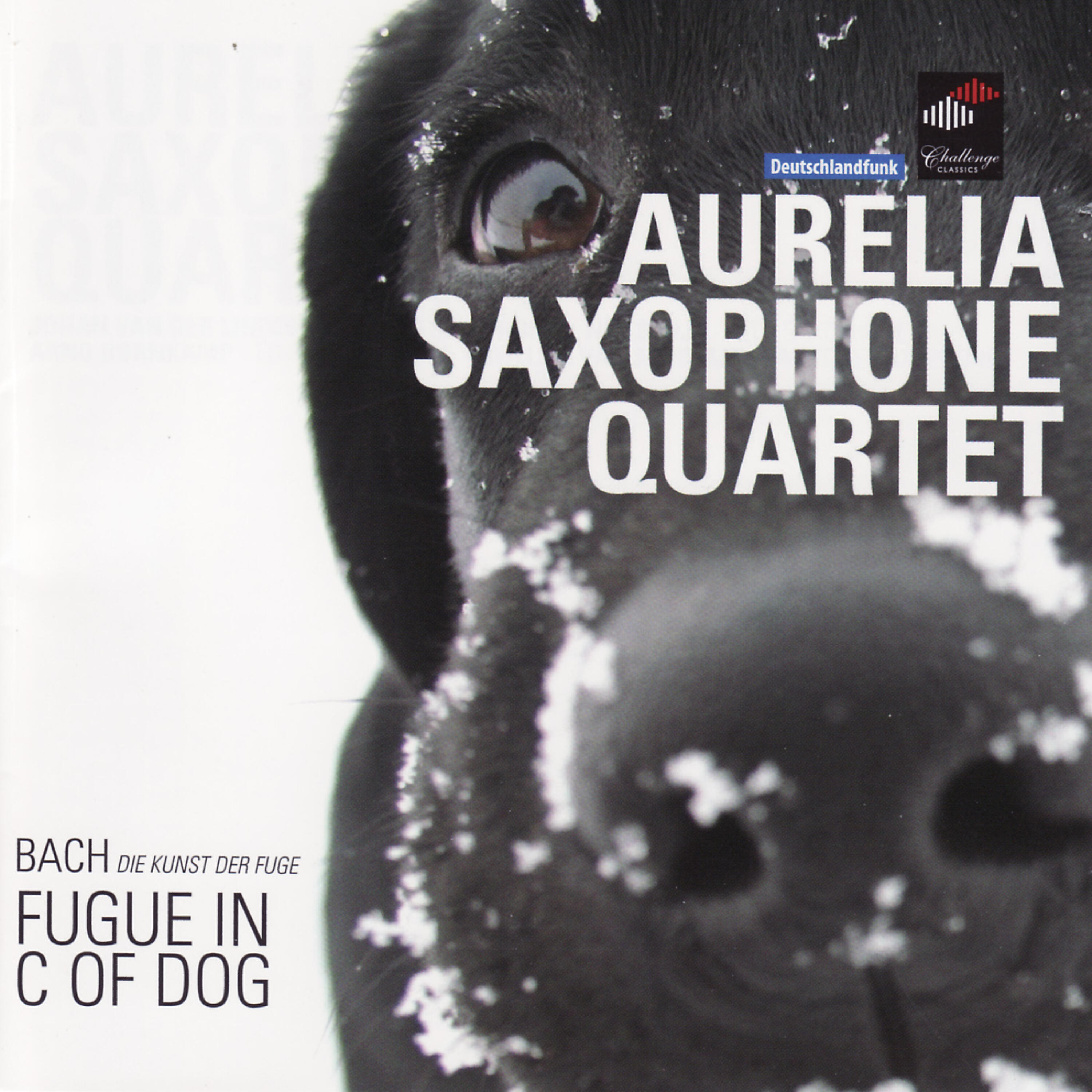 Релиз Bach: Fugue In C Of Dog