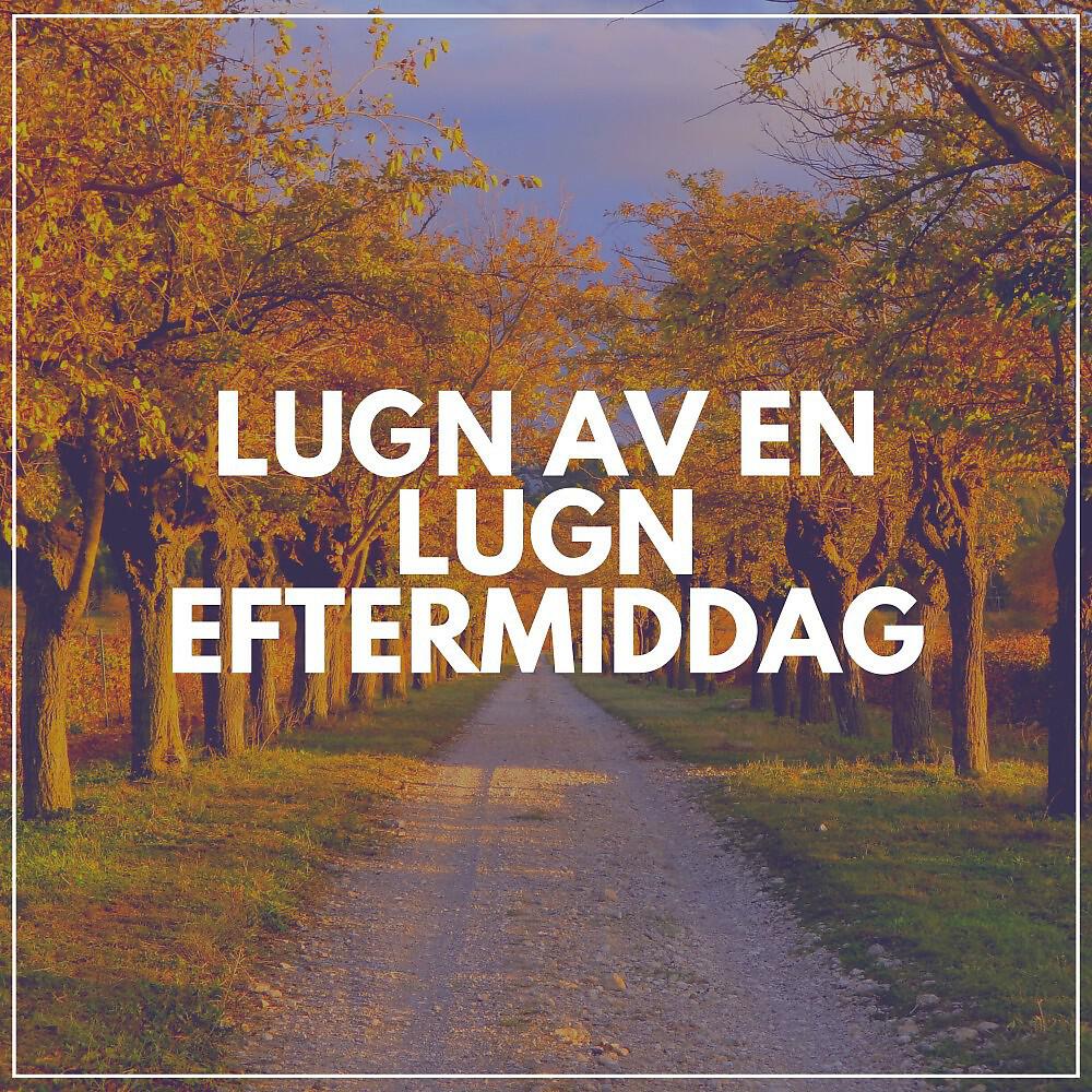 Релиз Lugn Av en Lugn Eftermiddag