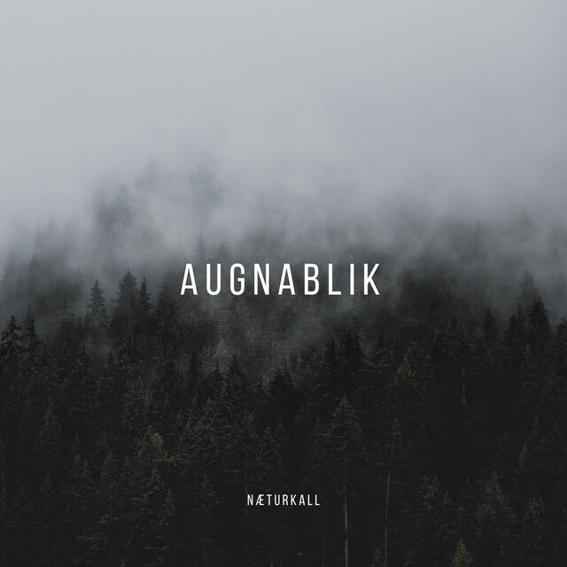 Релиз Augnablik