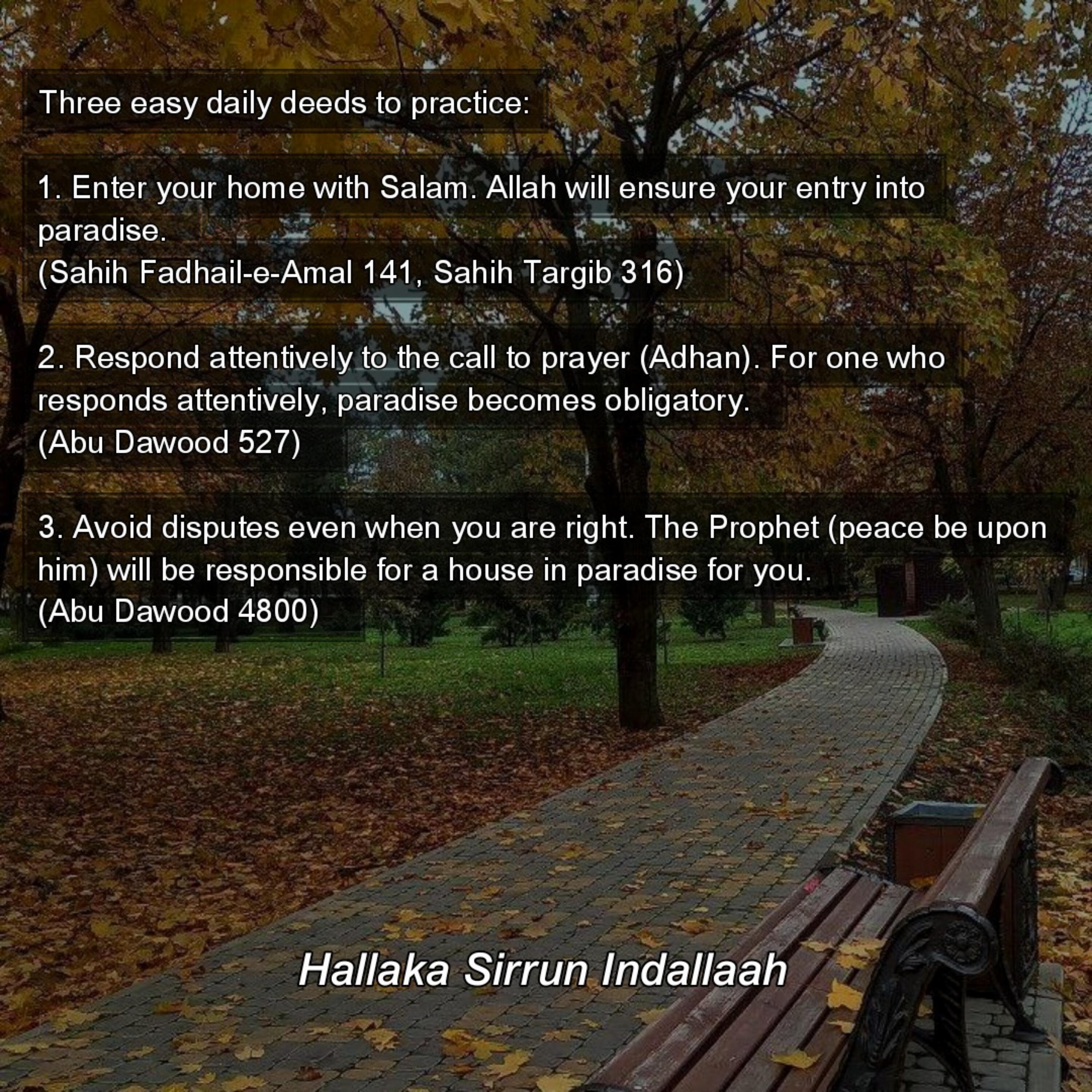 Релиз Hallaka Sirrun Indallaah