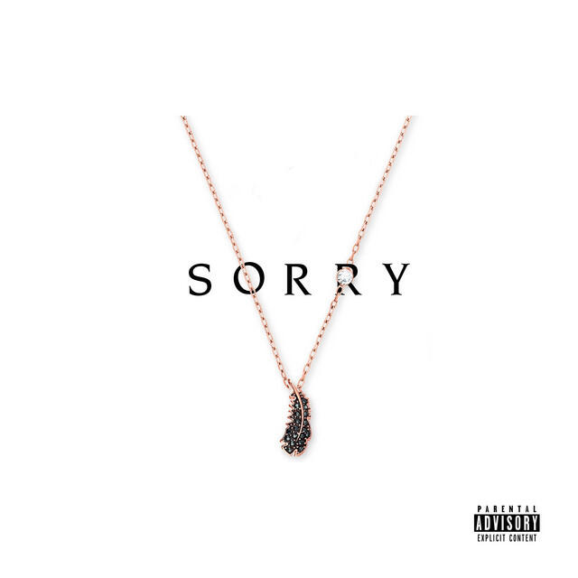 Релиз Sorry