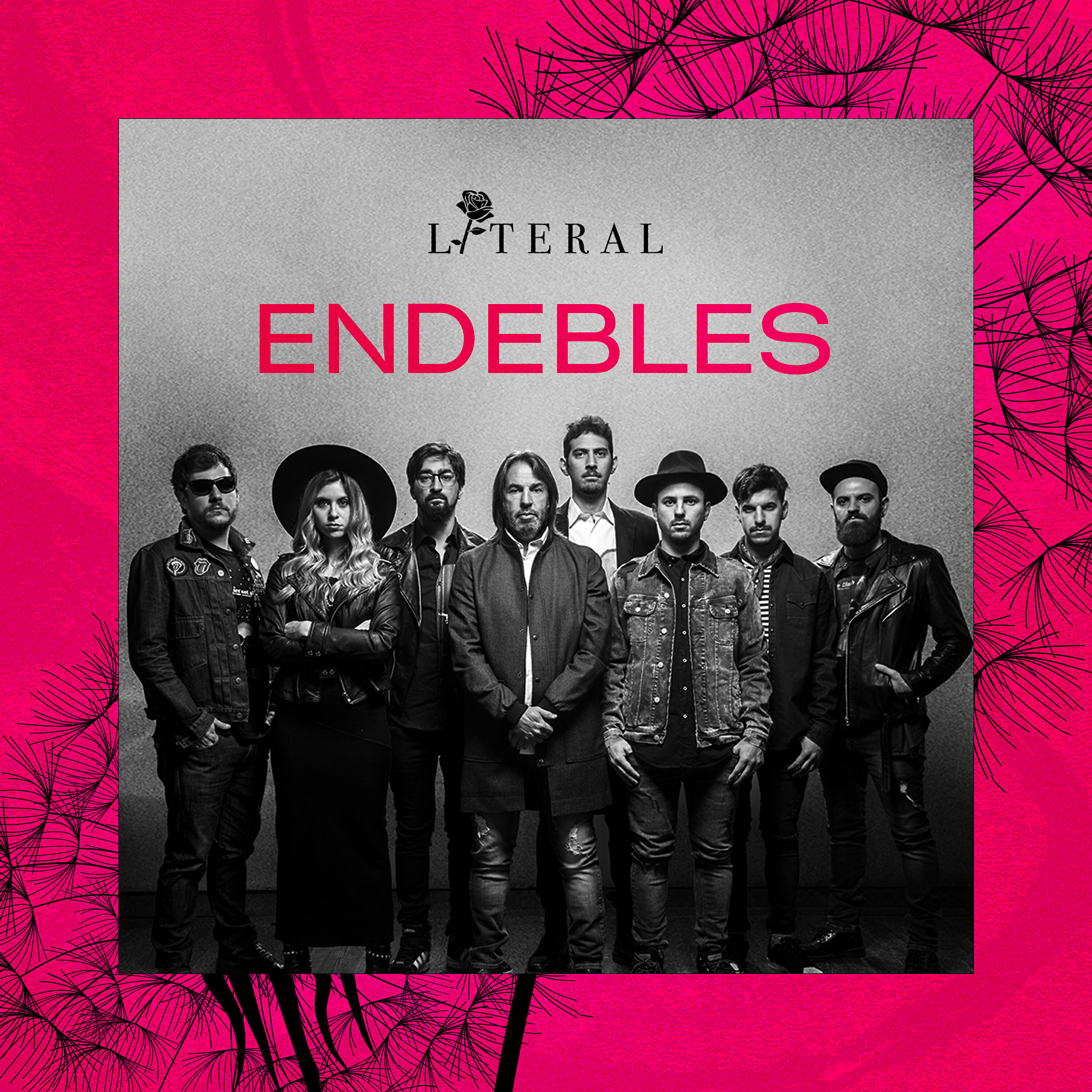 Релиз Endebles