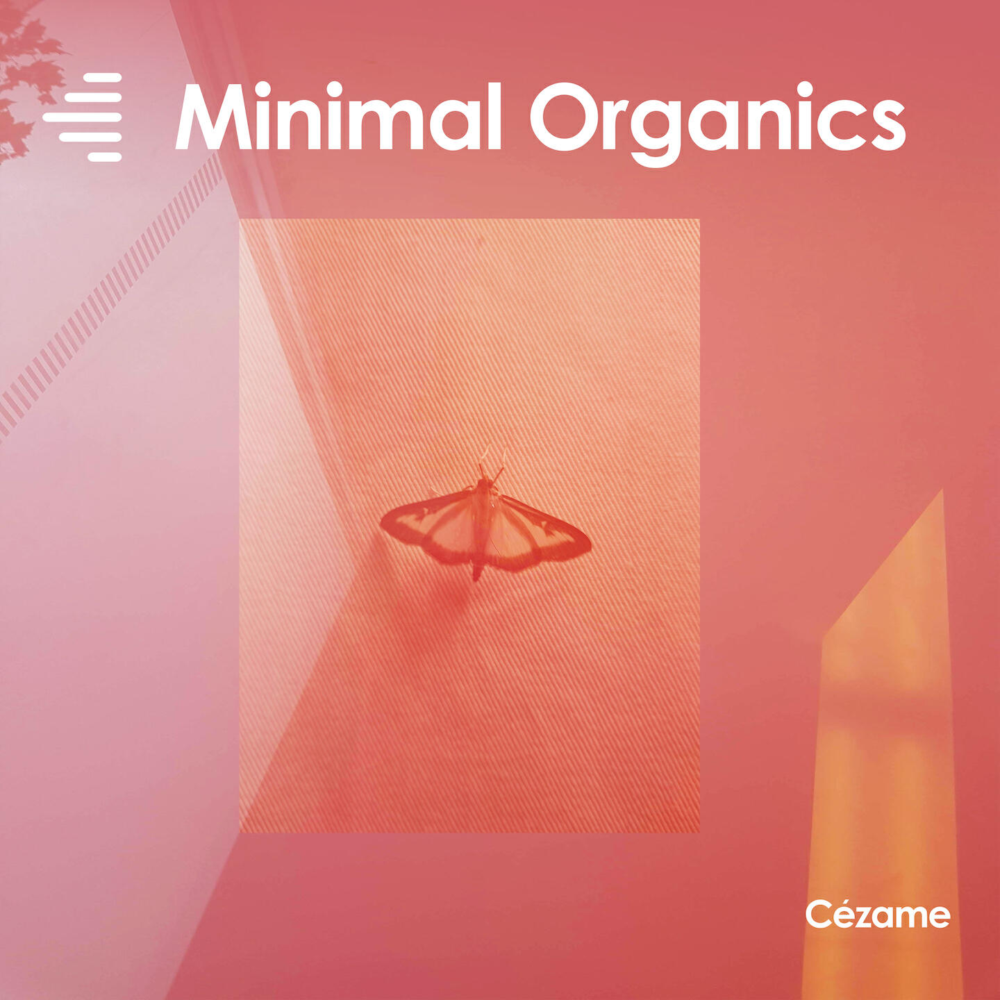 Релиз Minimal Organics