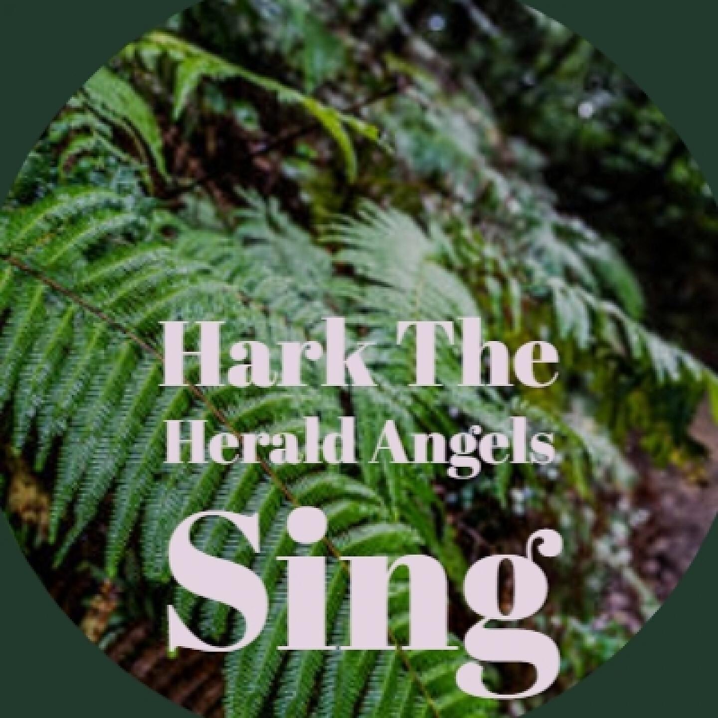 Постер альбома Hark the Herald Angels Sing