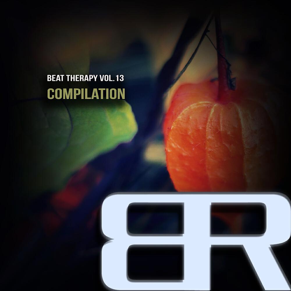 Релиз Beat Therapy, Vol.13 Compilation
