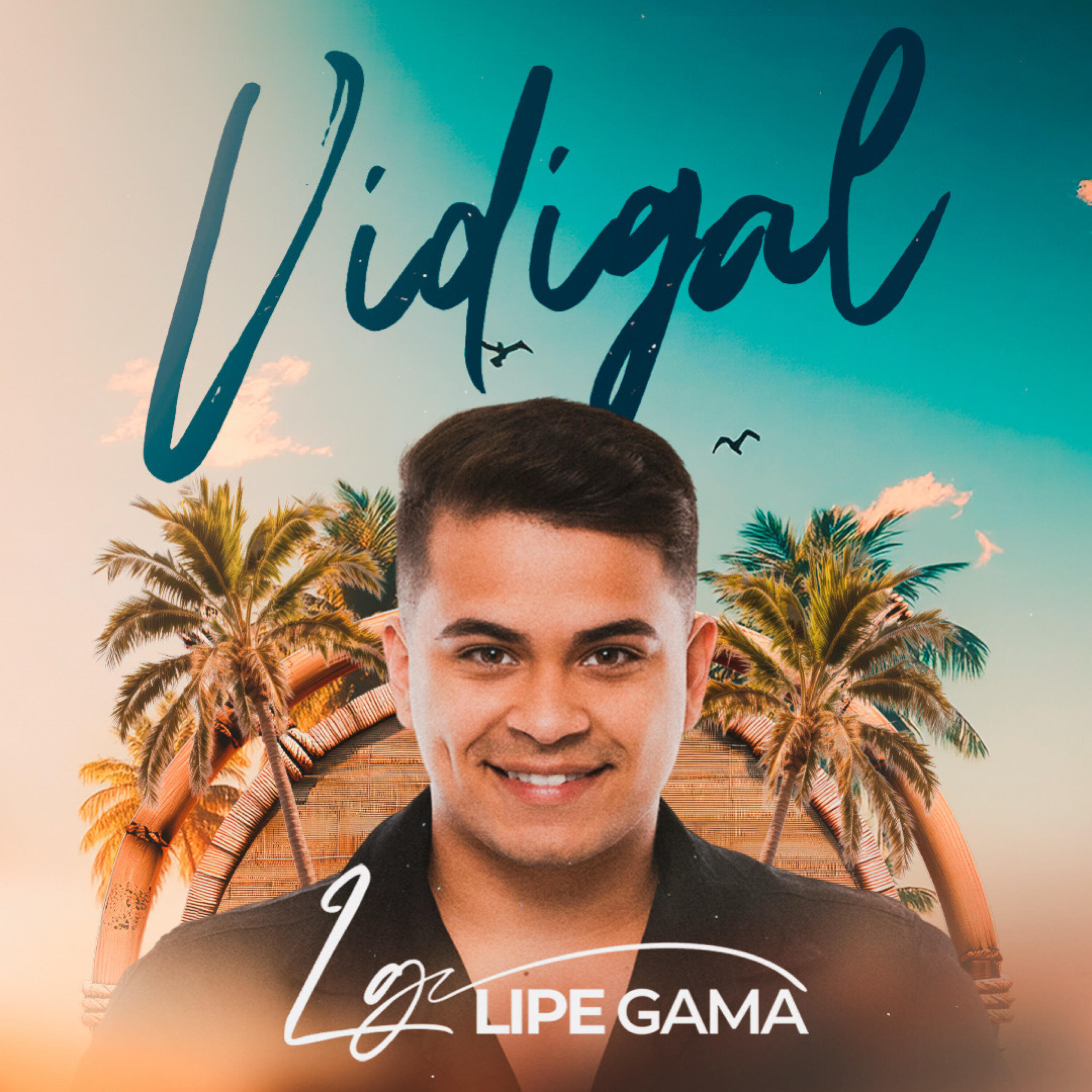 Релиз Vidigal