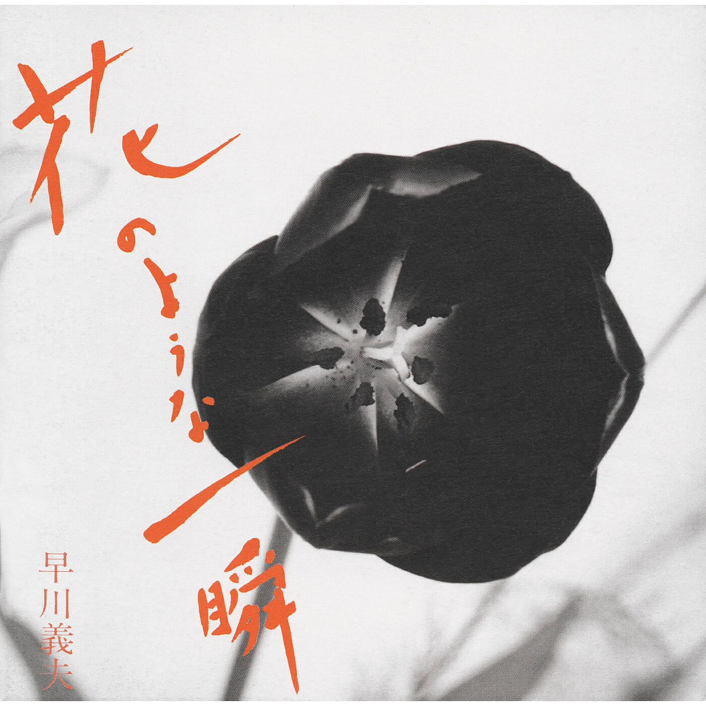 Релиз Hananoyouna Isshun