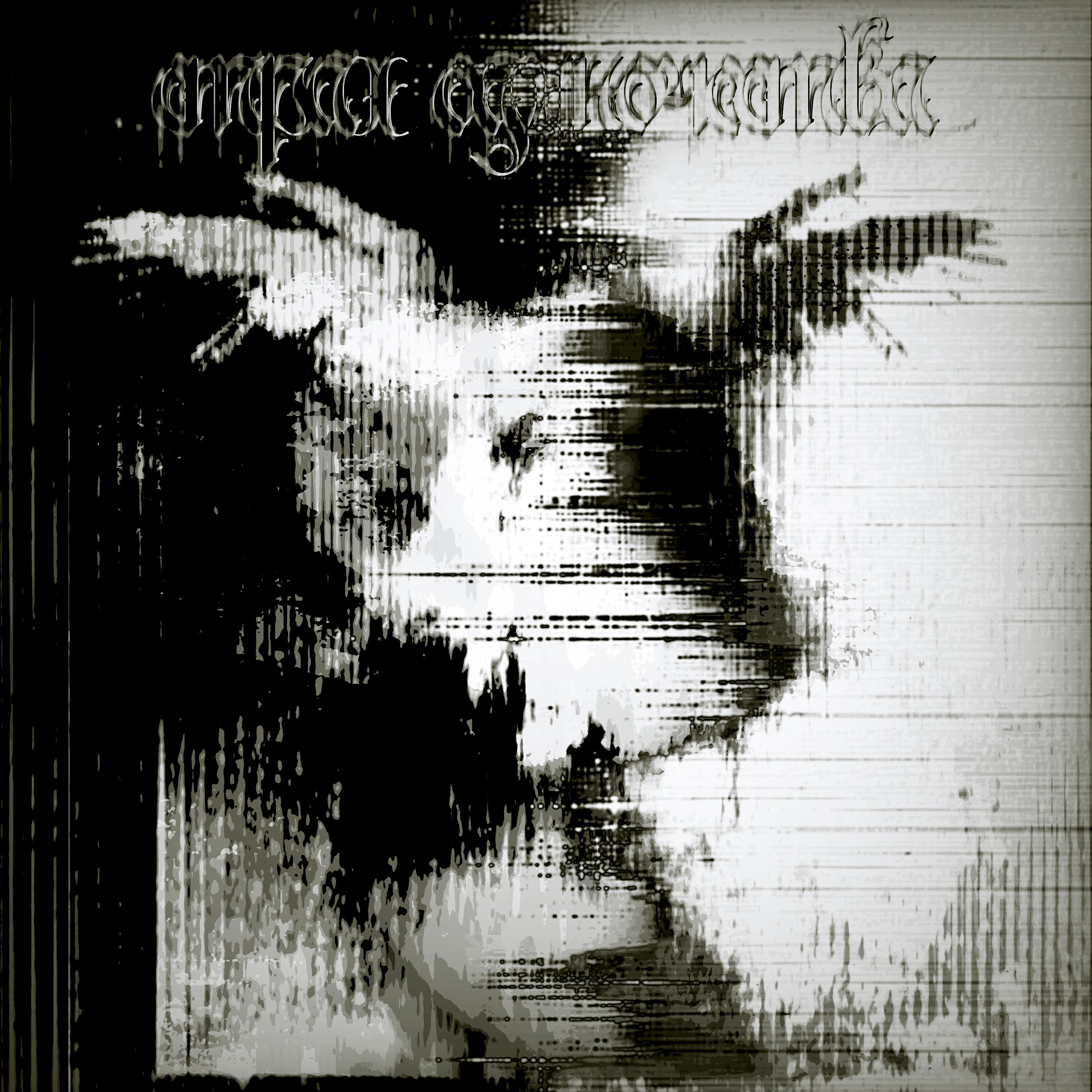 Δ R X Ø И T Δ S