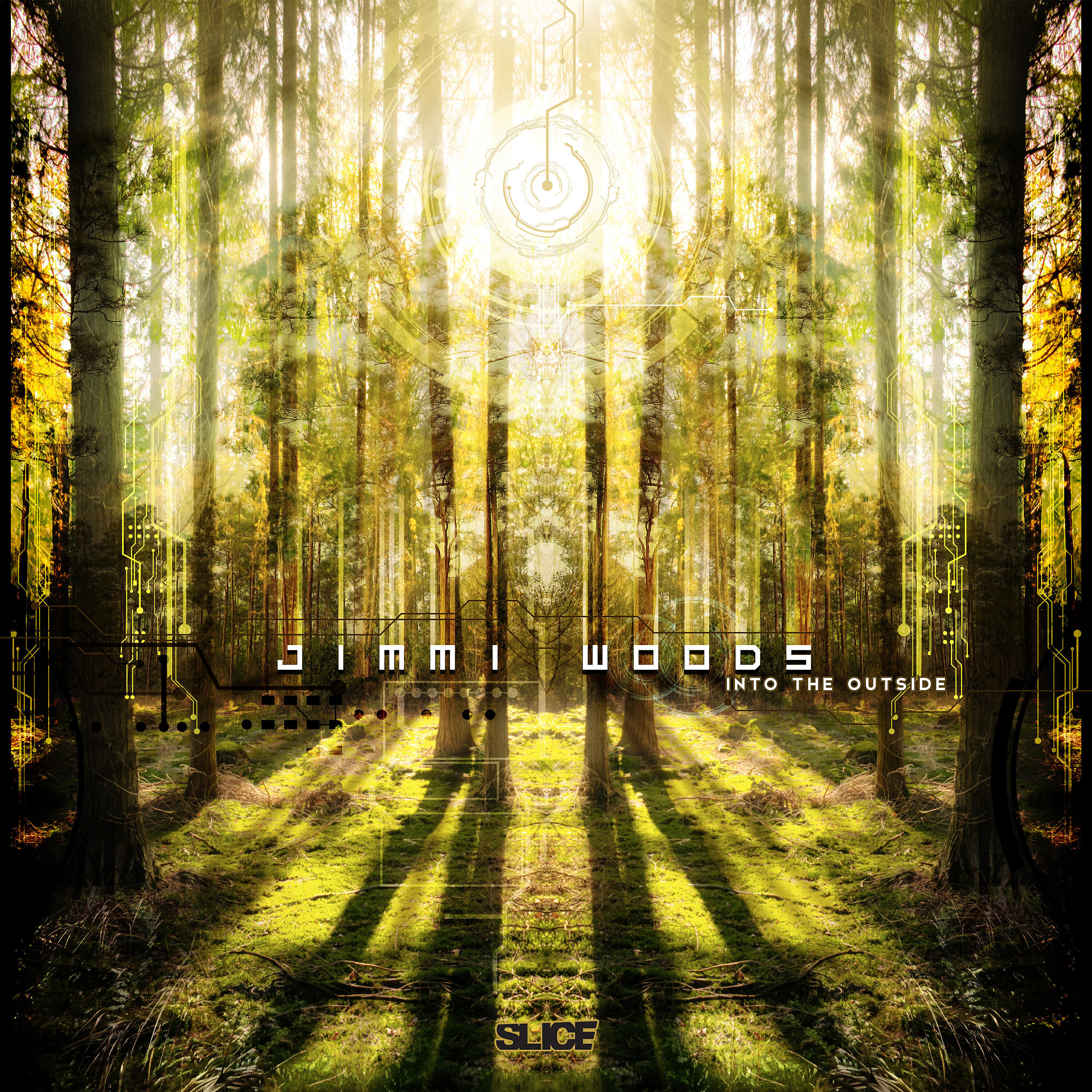 Релиз Into the Outside