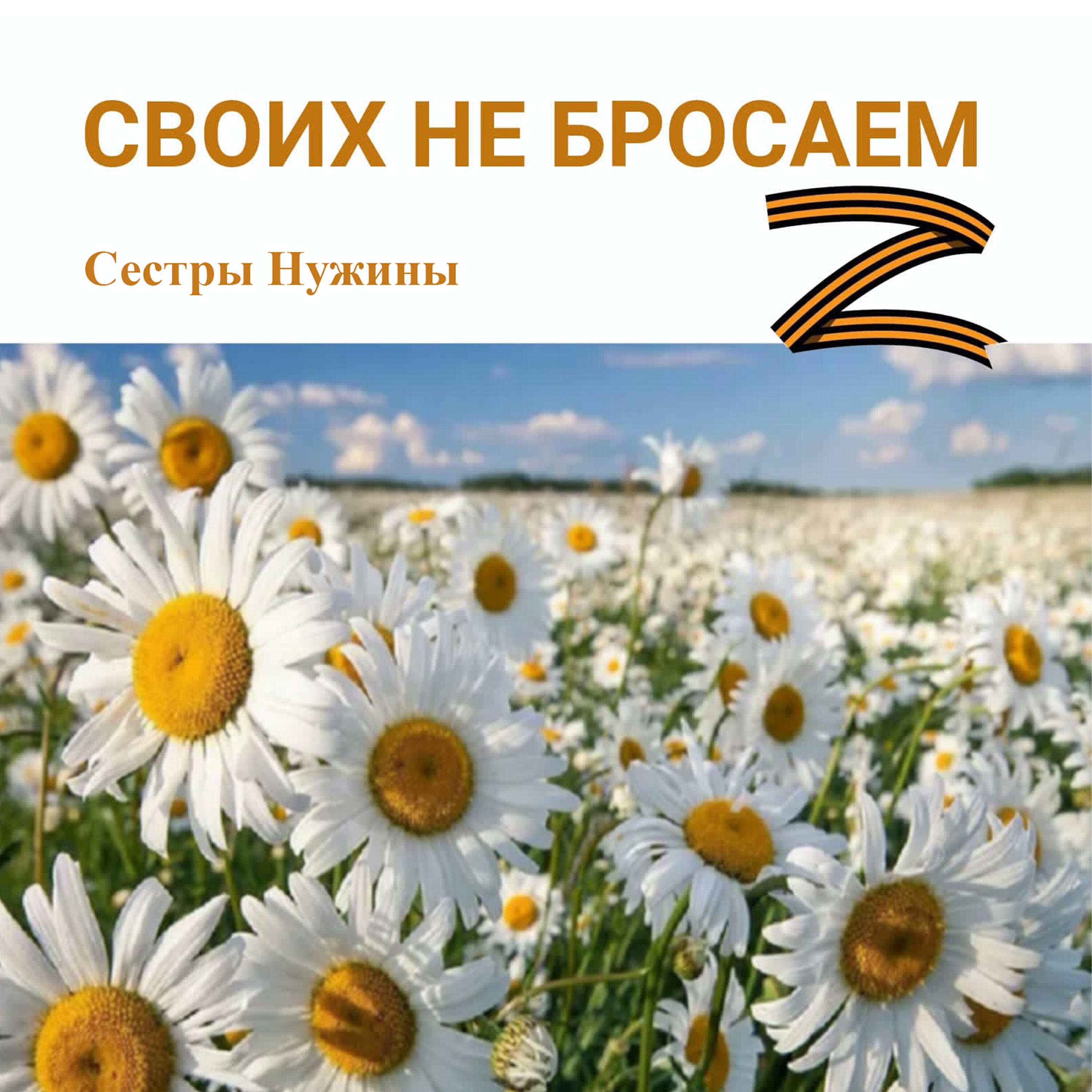 Релиз Своих не бросаем