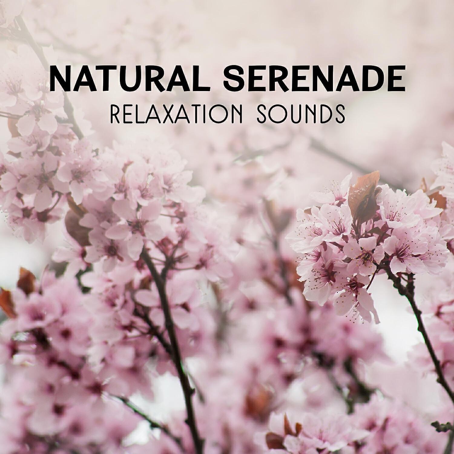 Awesome Nature Sounds Ensemble