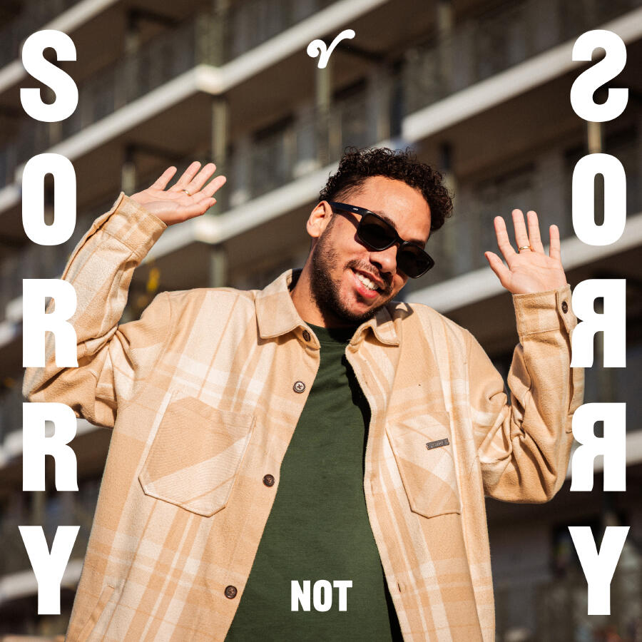 Релиз Sorry Not Sorry