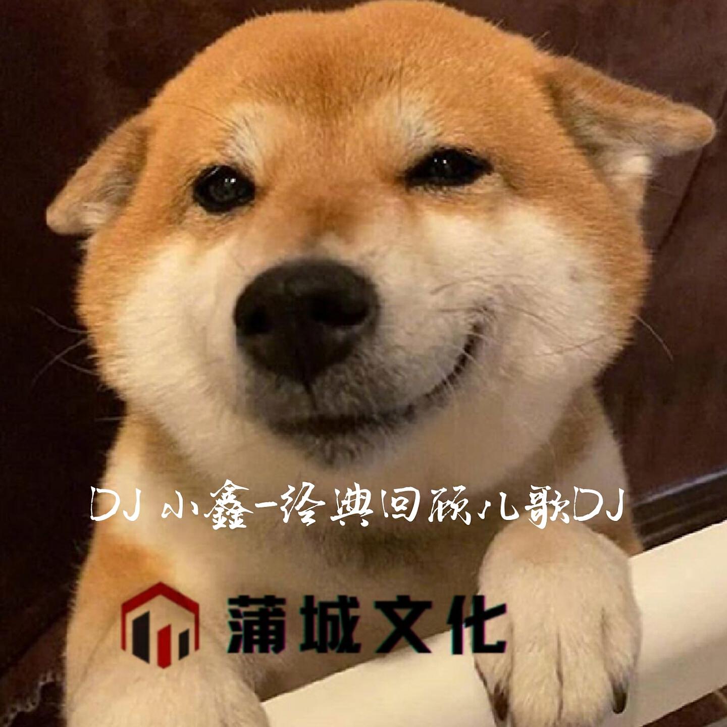 Релиз 经典回顾儿歌DJ