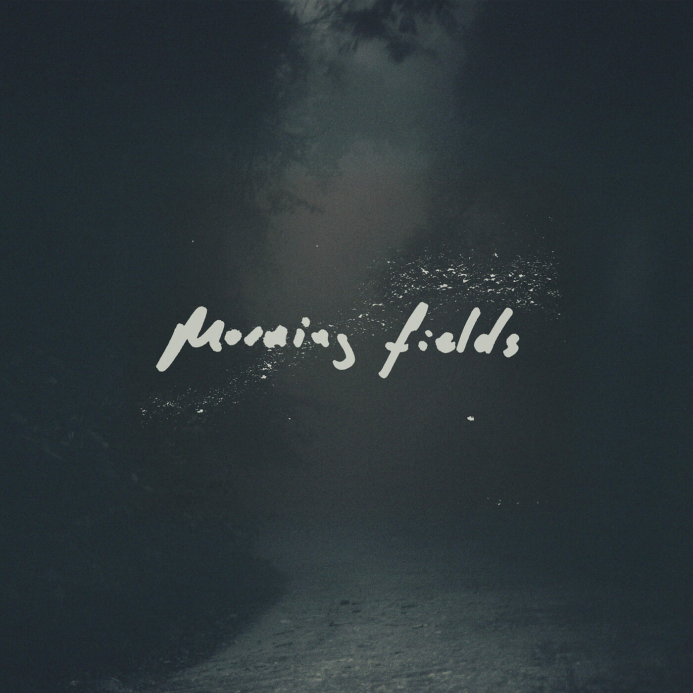 Релиз morning fields