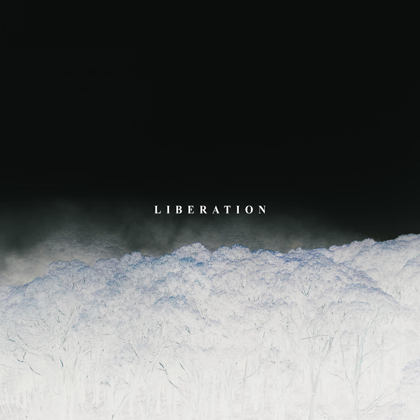 Релиз Liberation