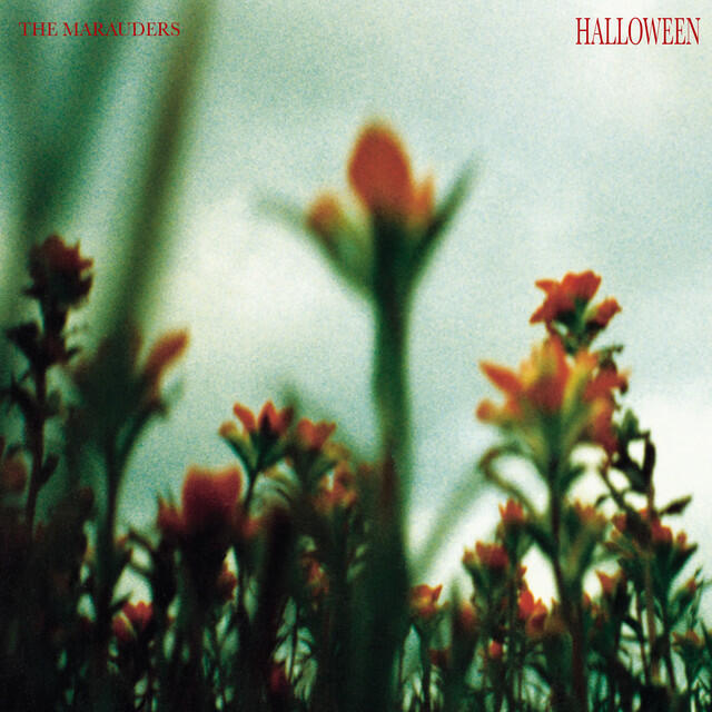 Релиз Halloween