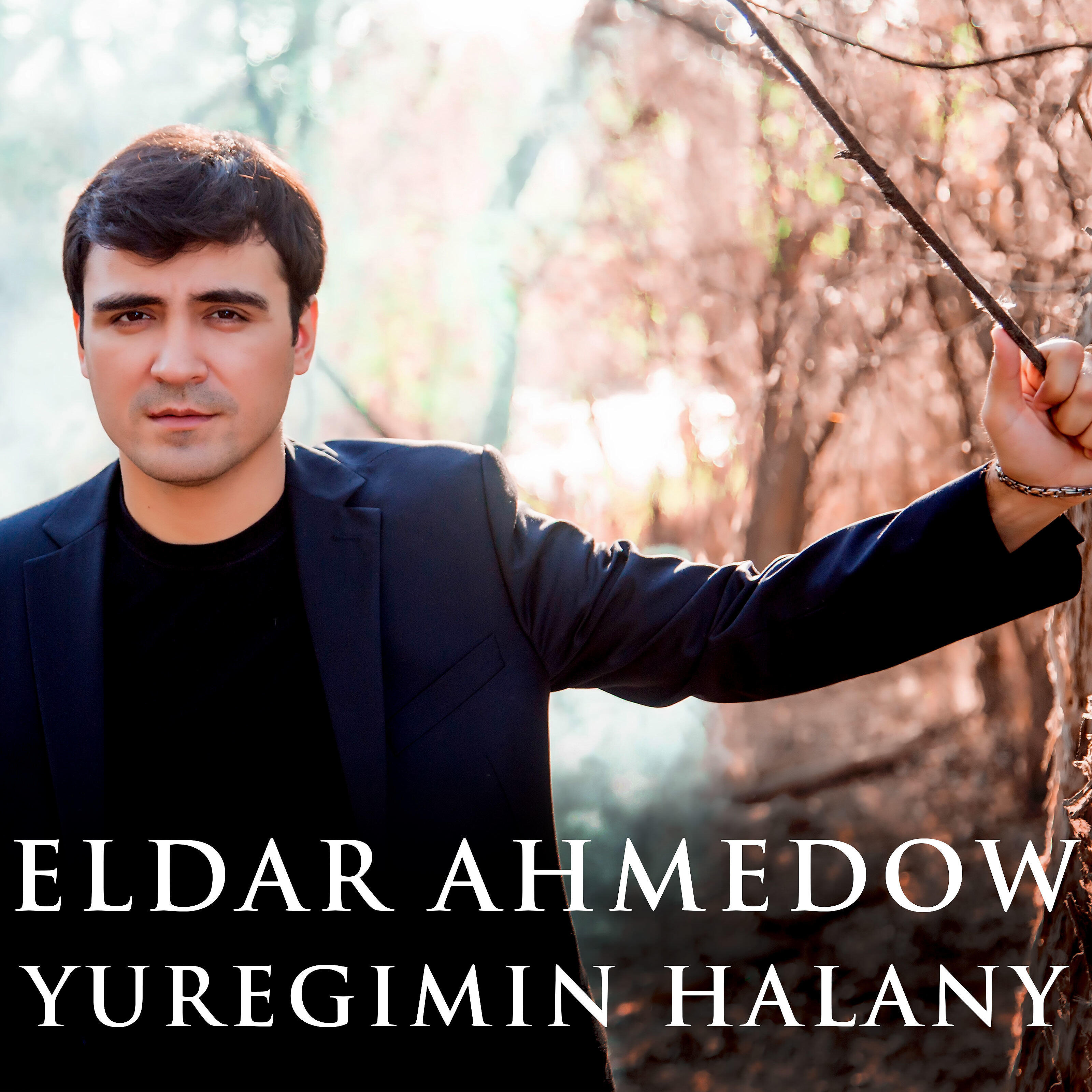 Релиз Yuregimin Halany