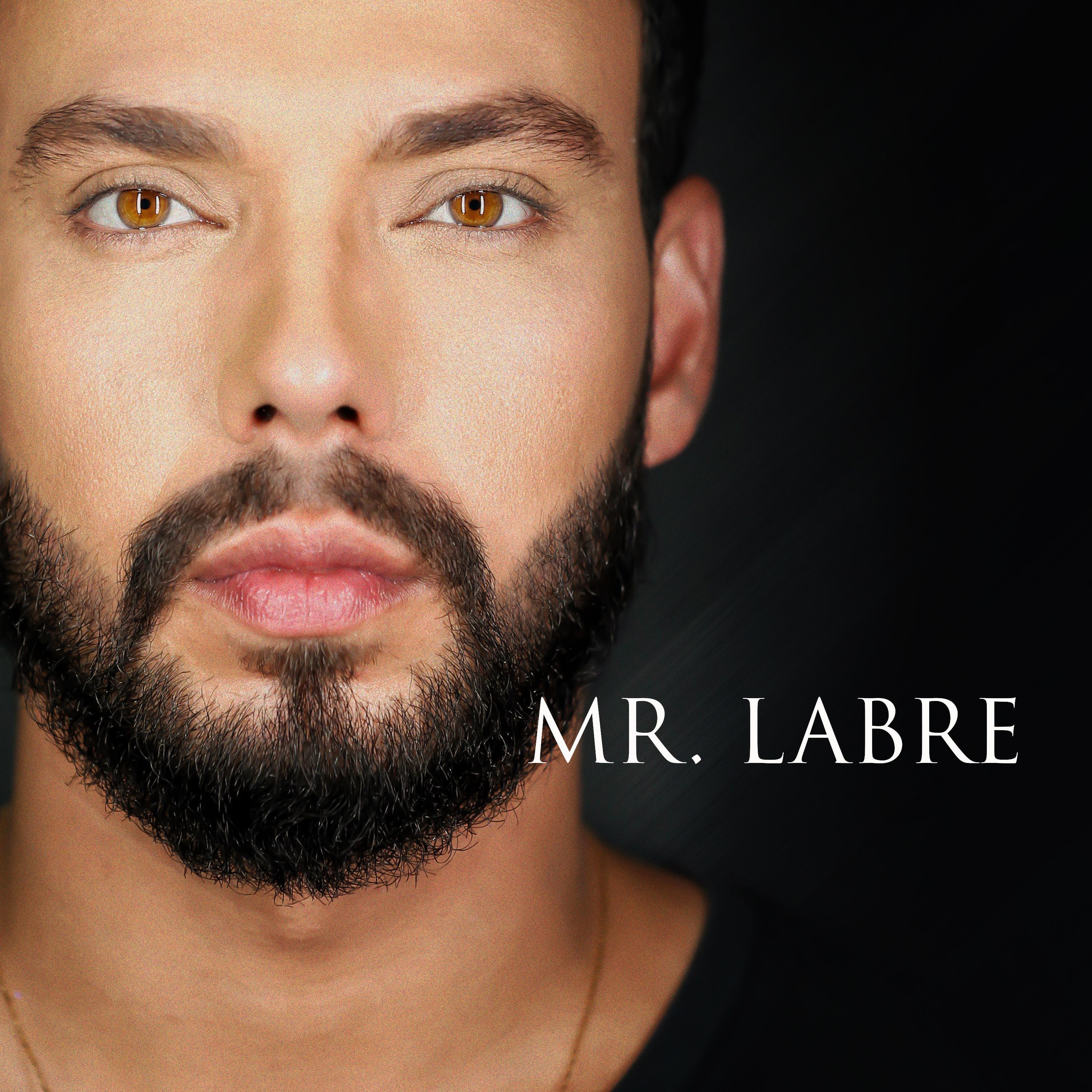 Релиз Mr. Labre