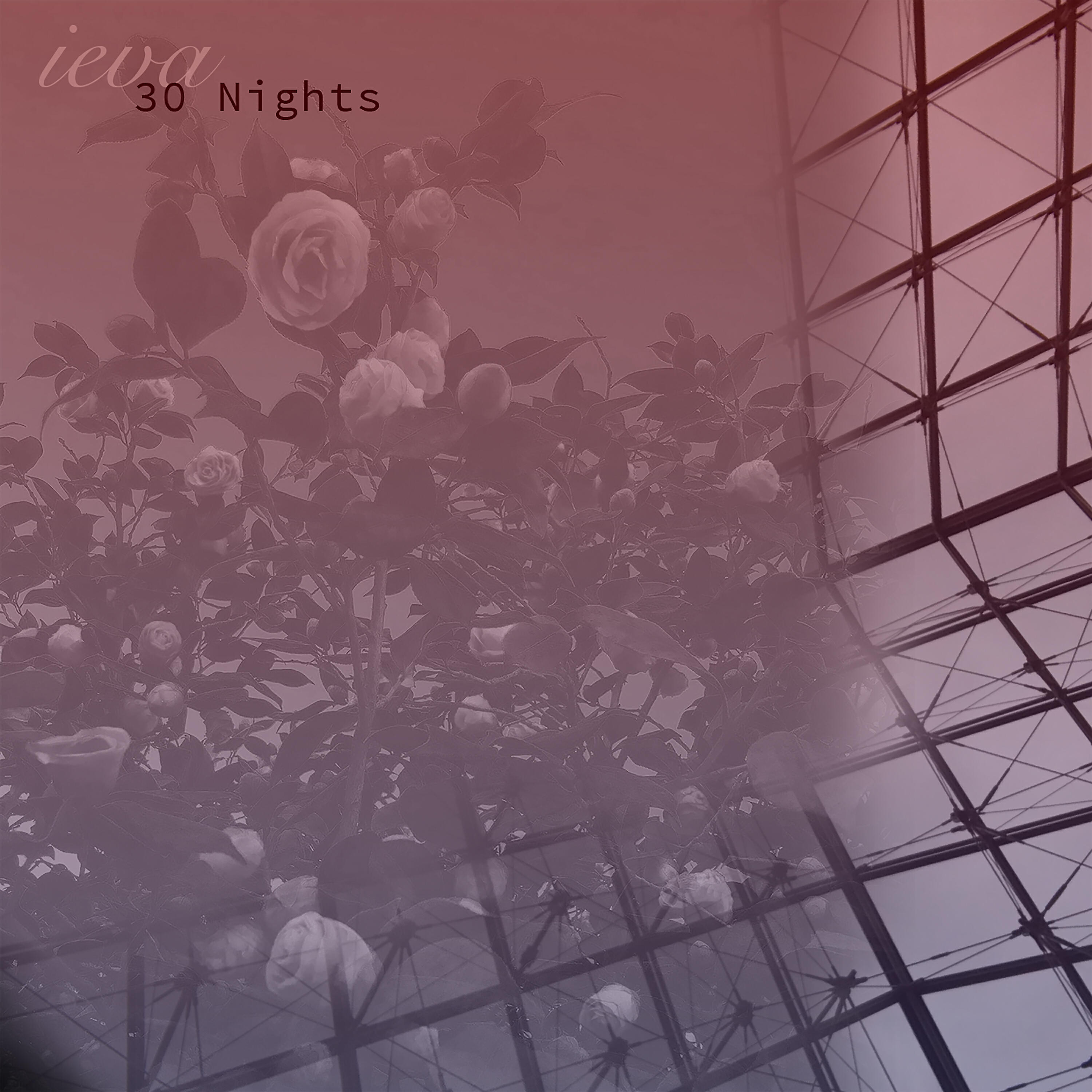 Релиз 30 Nights