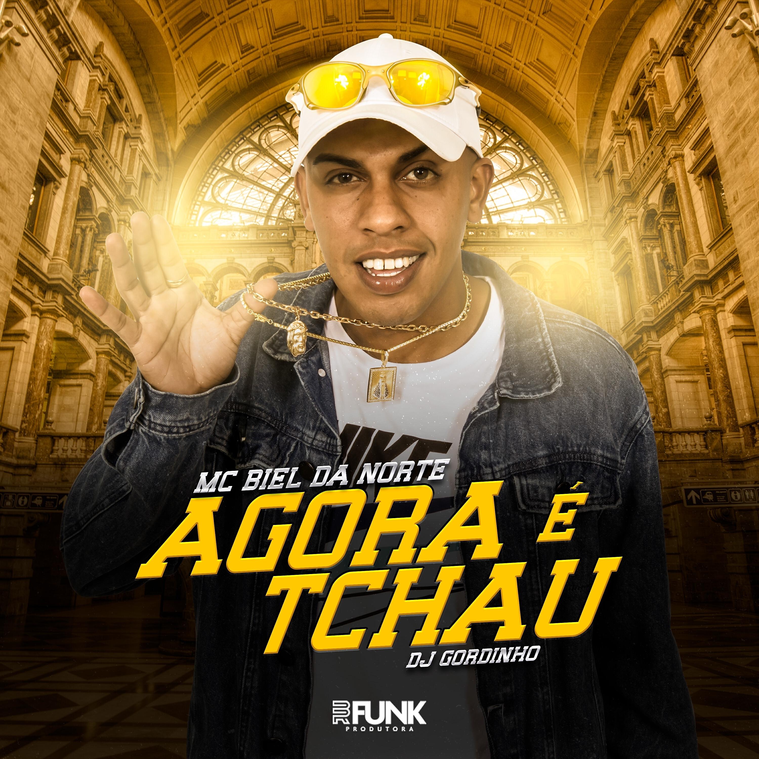 Скачать песню Mc Biel da Norte, DJ Gordinho - Agora É Tchau бесплатно в MP3 для Android и iOS