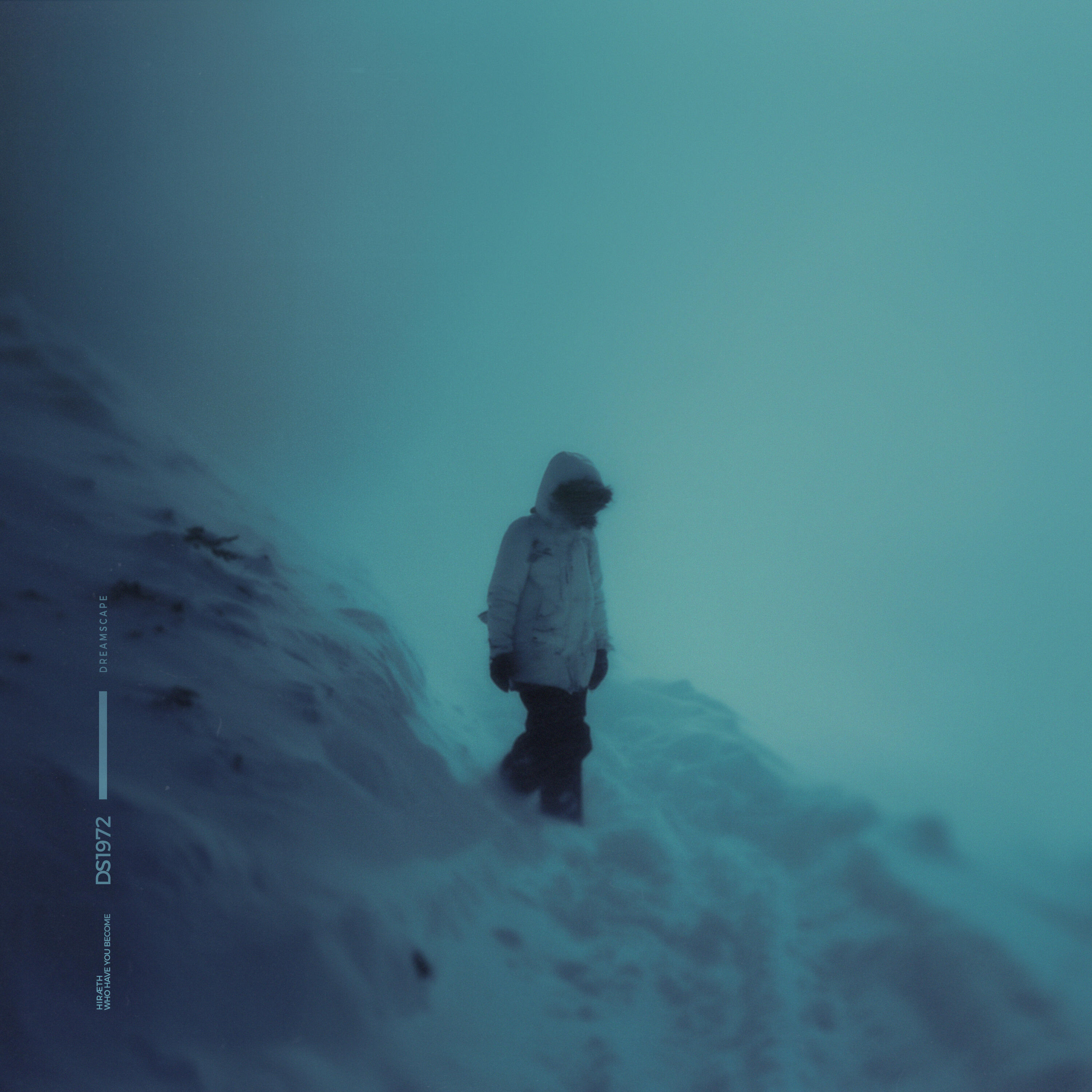 Релиз who have you become