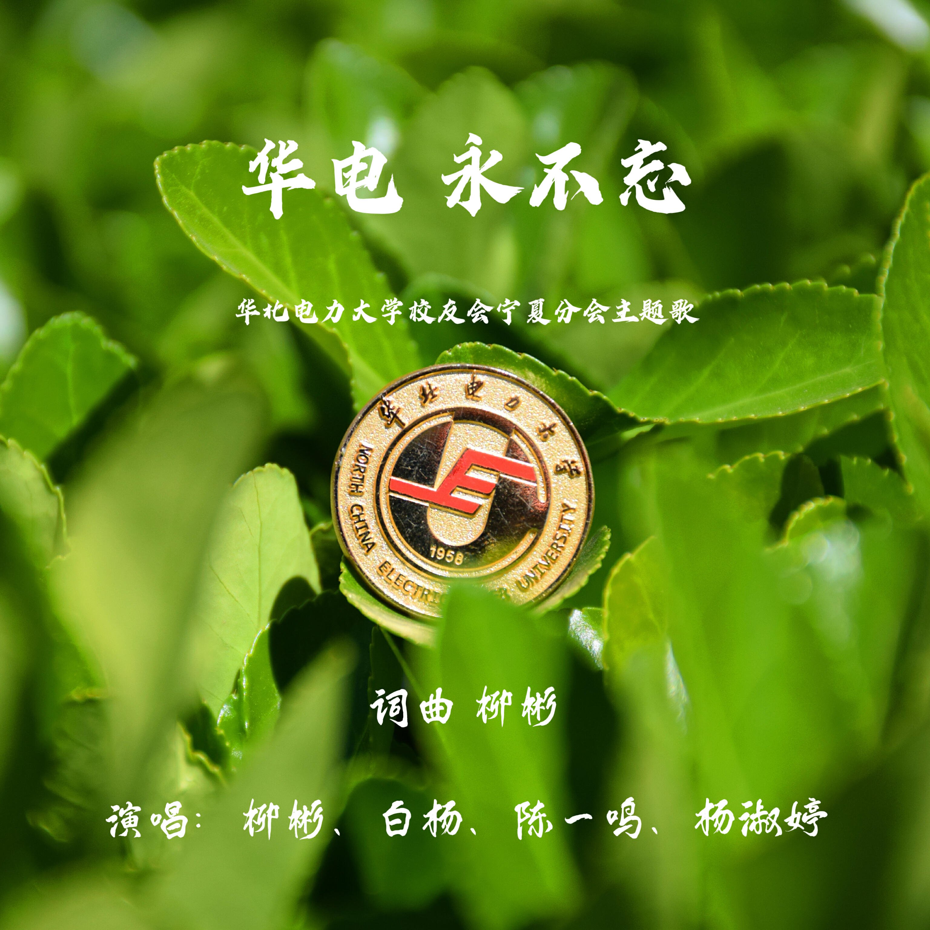 杨淑婷