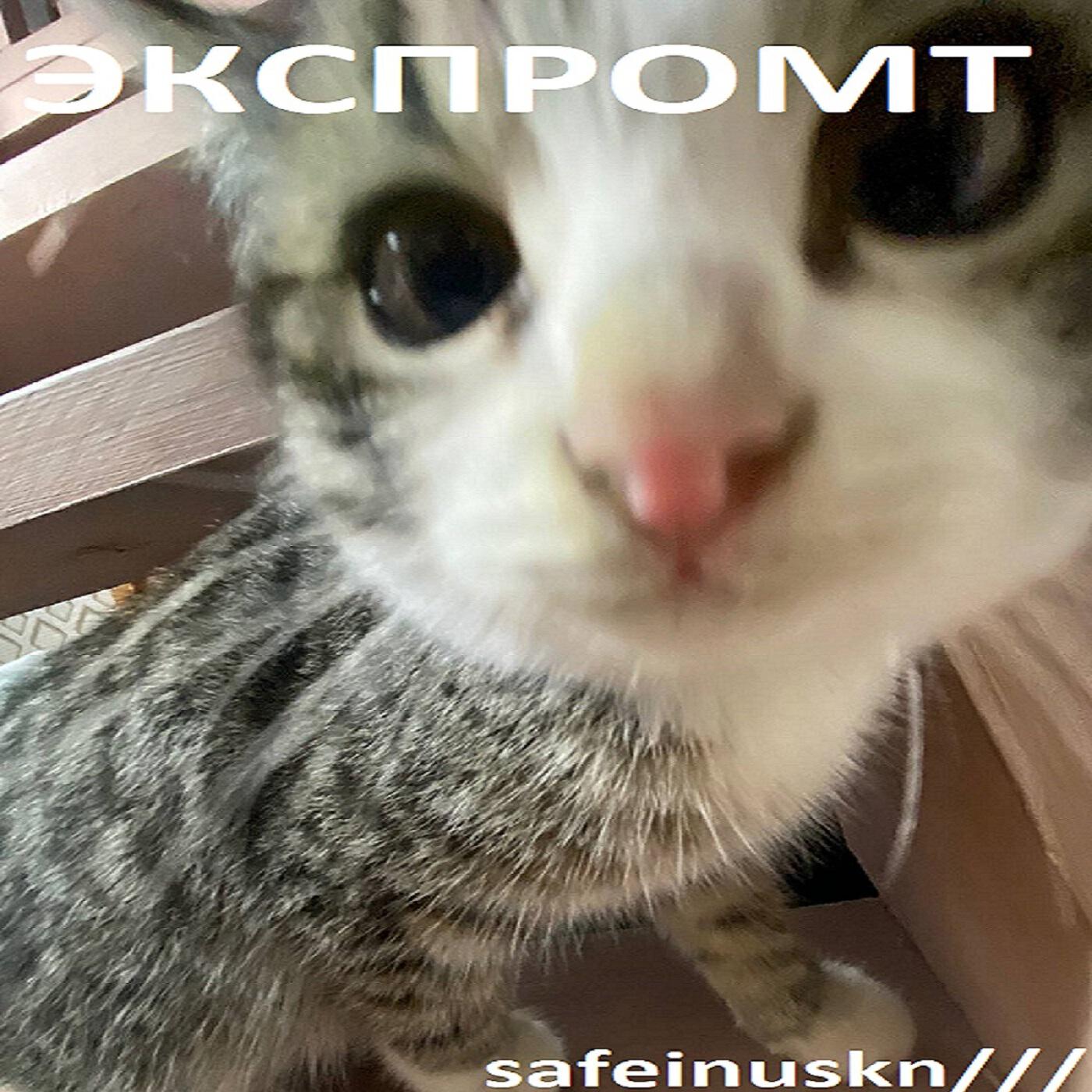 Релиз ЭКСПРОМТ