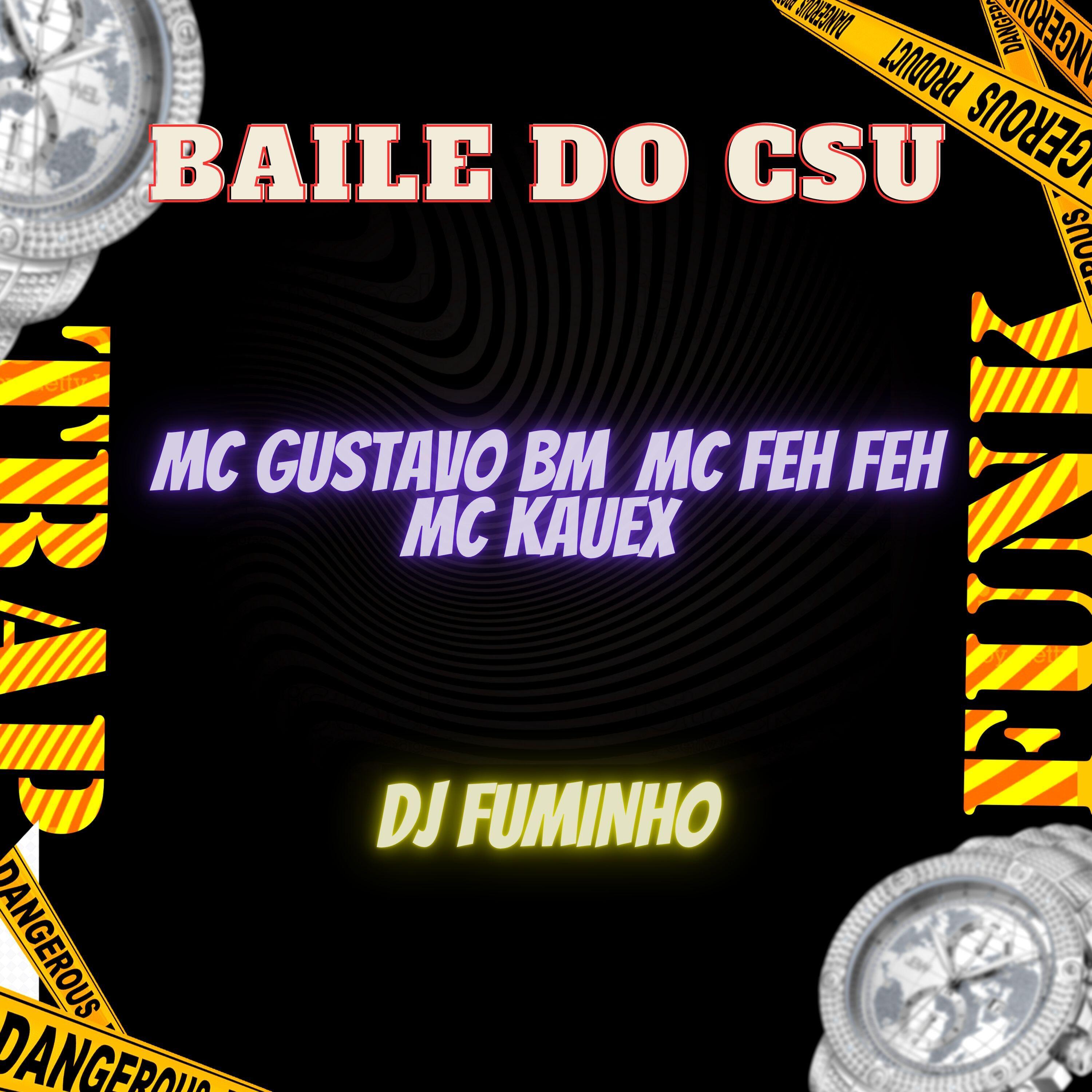 Постер альбома Baile do CSU