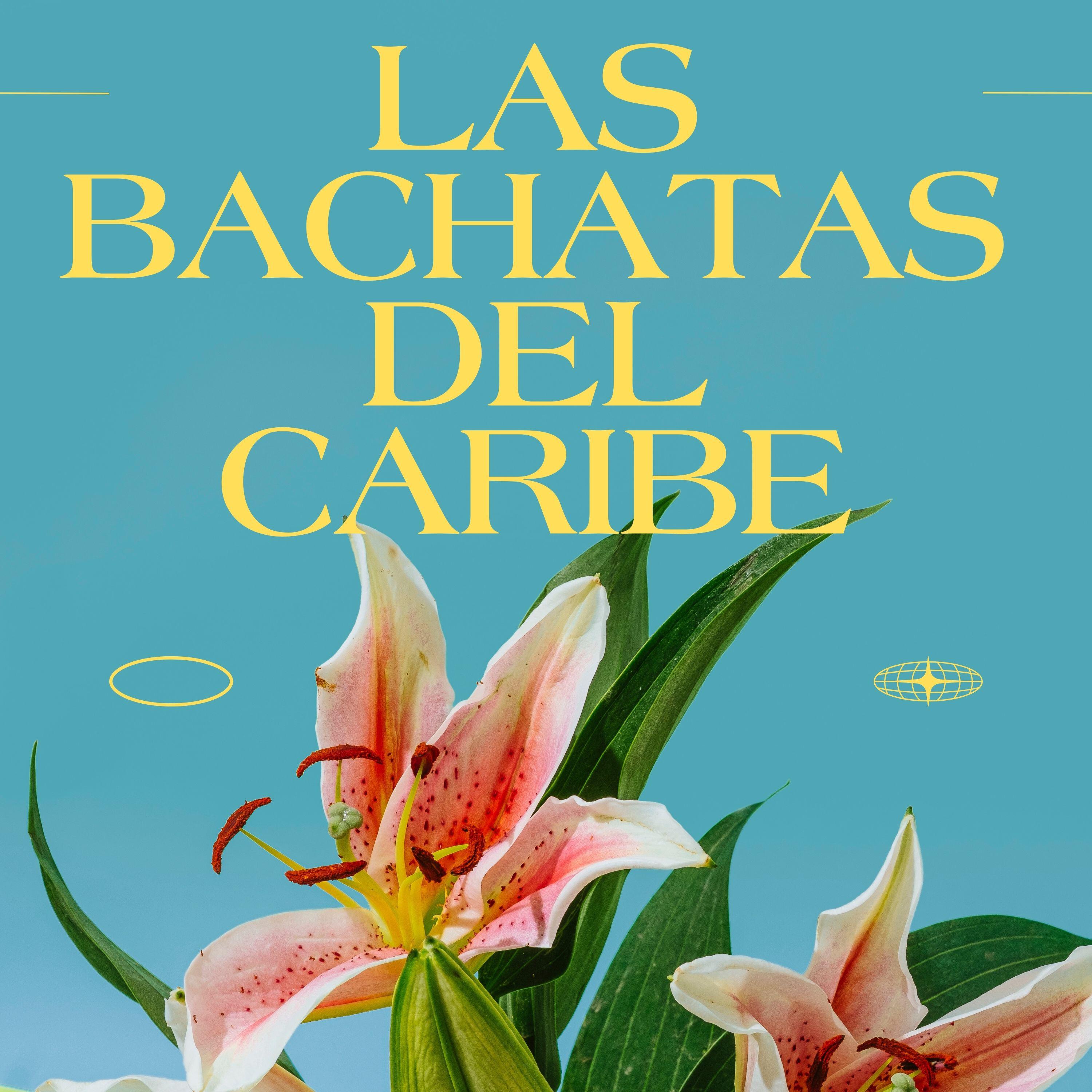 Постер альбома Las Bachatas del caribe
